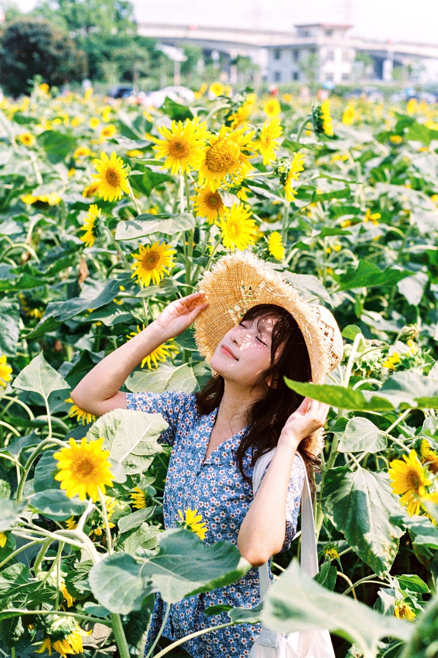 图片[4] - 沐沐（约拍 - 《向日葵的花语》[18P] - 机器猫次元 - 机器猫次元