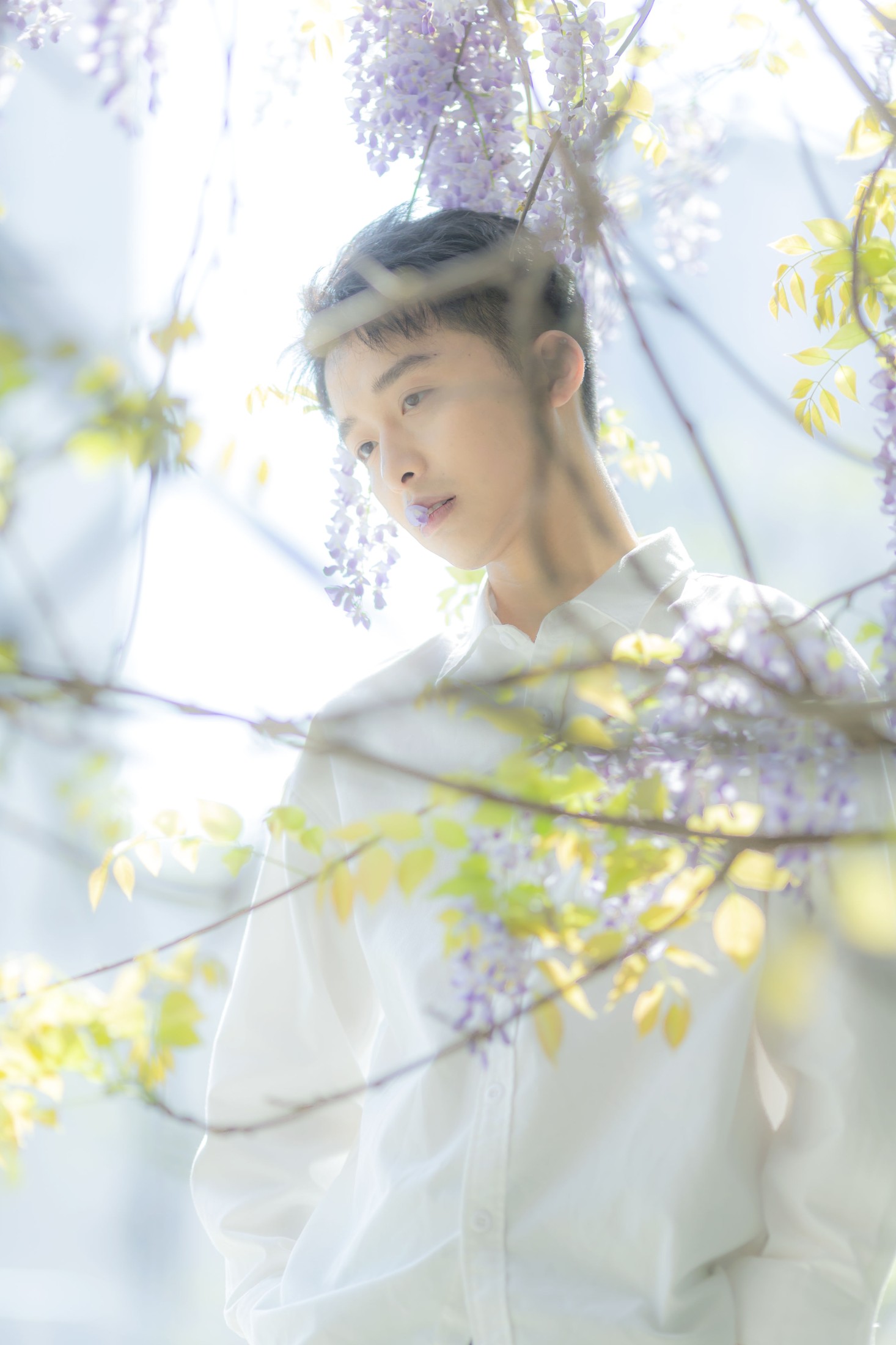 图片[4] - 峥 - 《花儿与少年》[17P] - 机器猫次元 - 机器猫次元