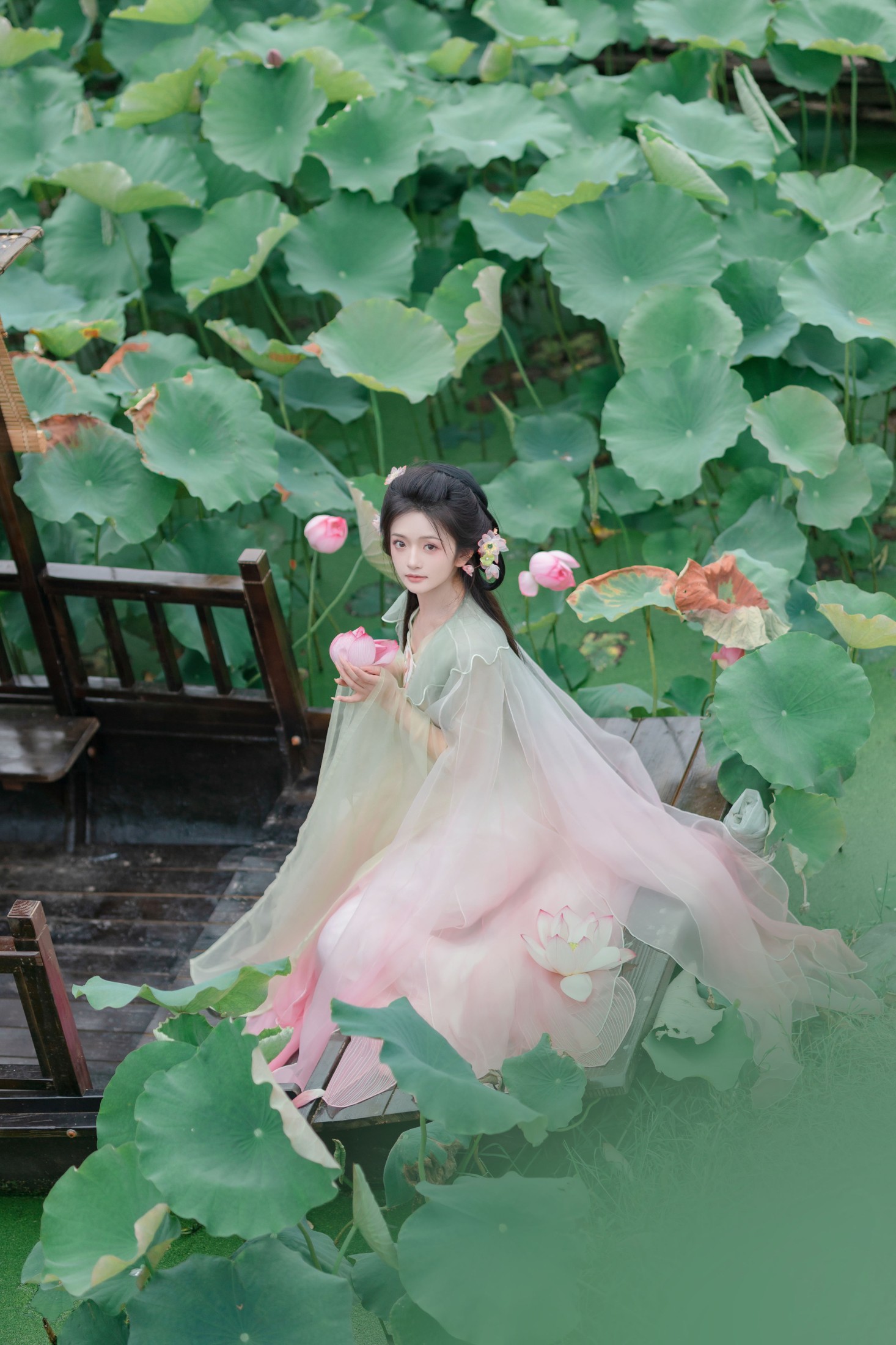 图片[6] - 赤嫣在这里～ - 《枯荷听雪》[15P] - 机器猫次元 - 机器猫次元