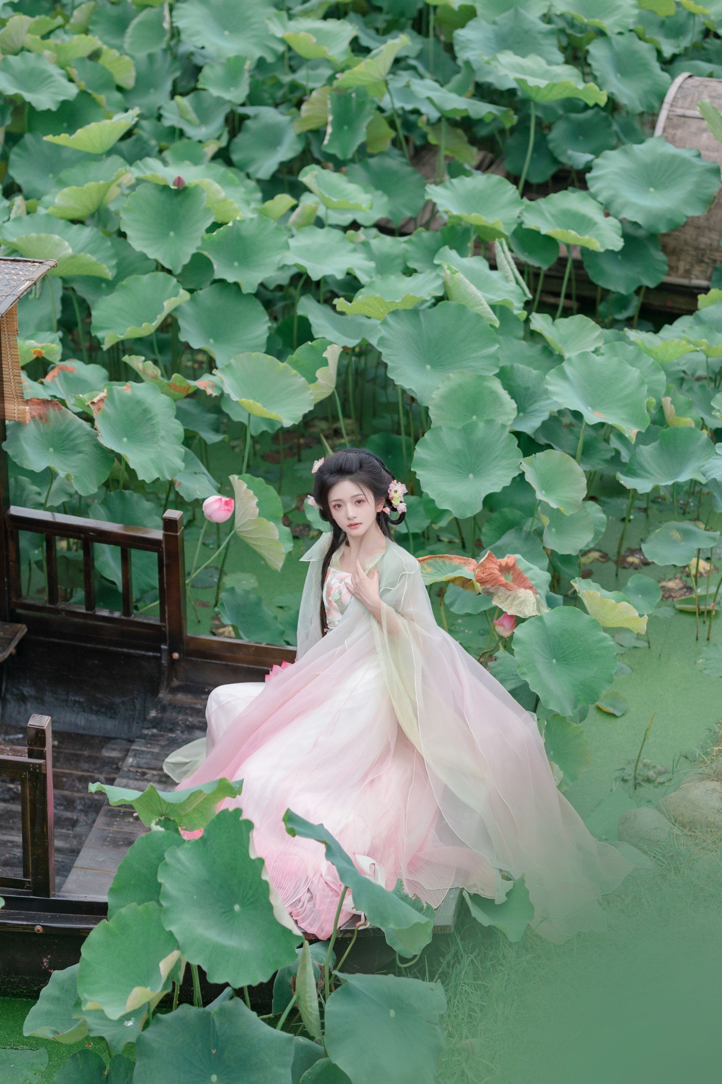 图片[8] - 赤嫣在这里～ - 《枯荷听雪》[15P] - 机器猫次元 - 机器猫次元