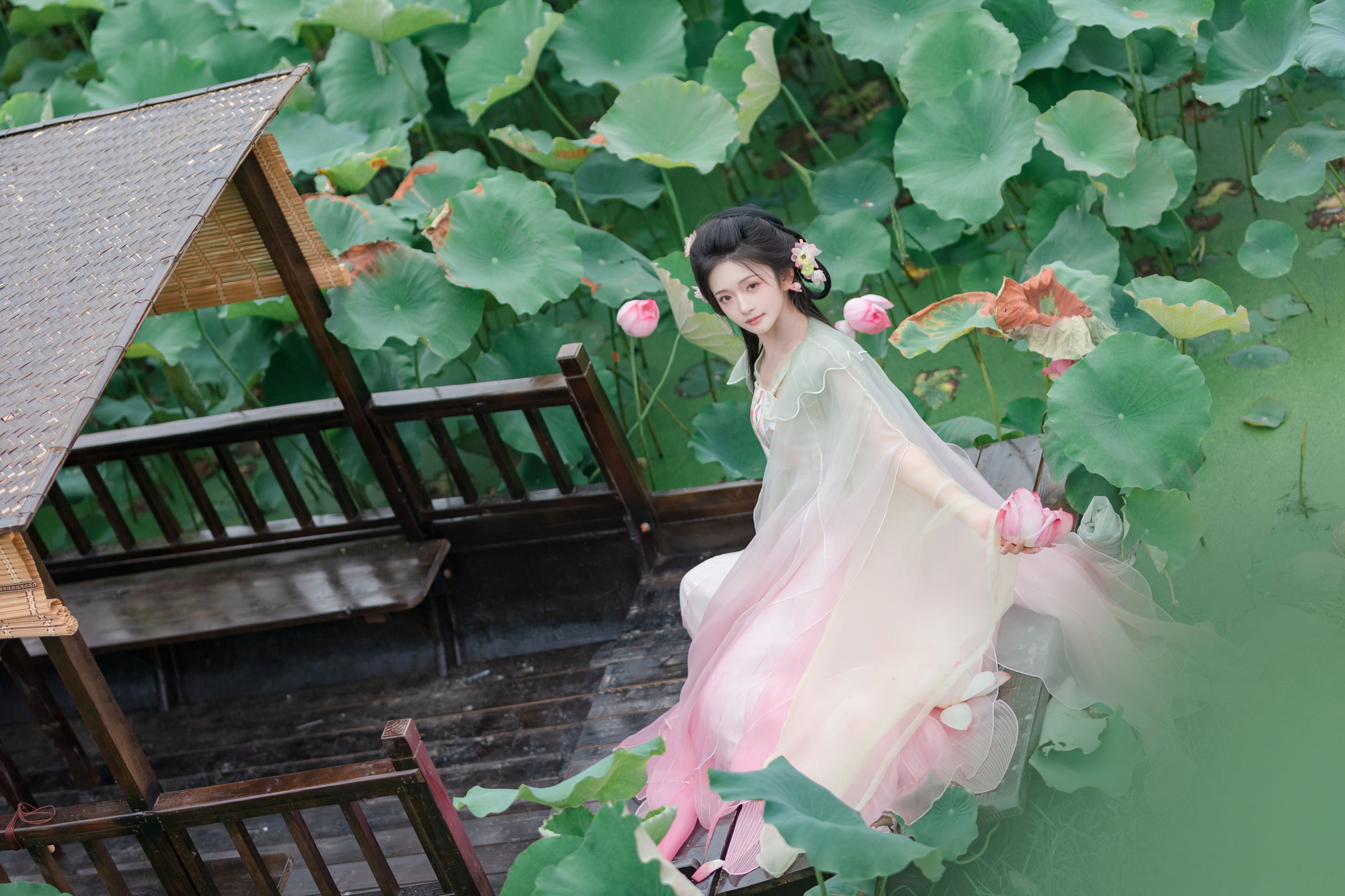 图片[5] - 赤嫣在这里～ - 《枯荷听雪》[15P] - 机器猫次元 - 机器猫次元