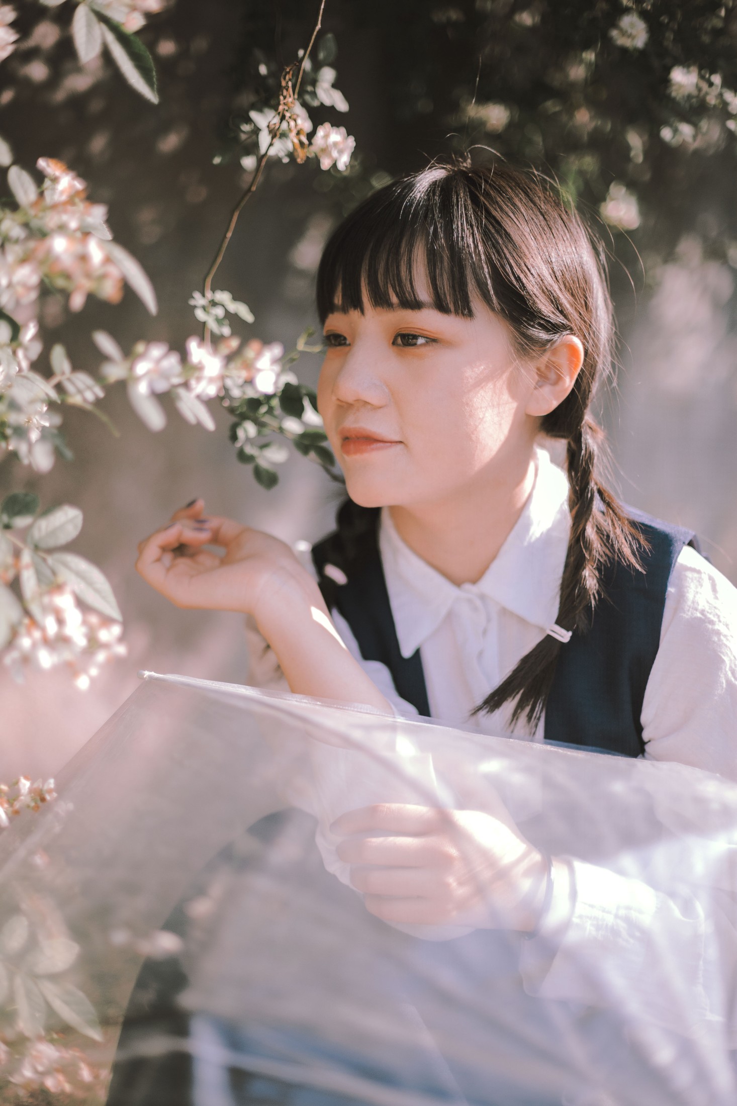 图片[8] - 晗 - 《蔷薇花开》[17P] - 机器猫次元 - 机器猫次元