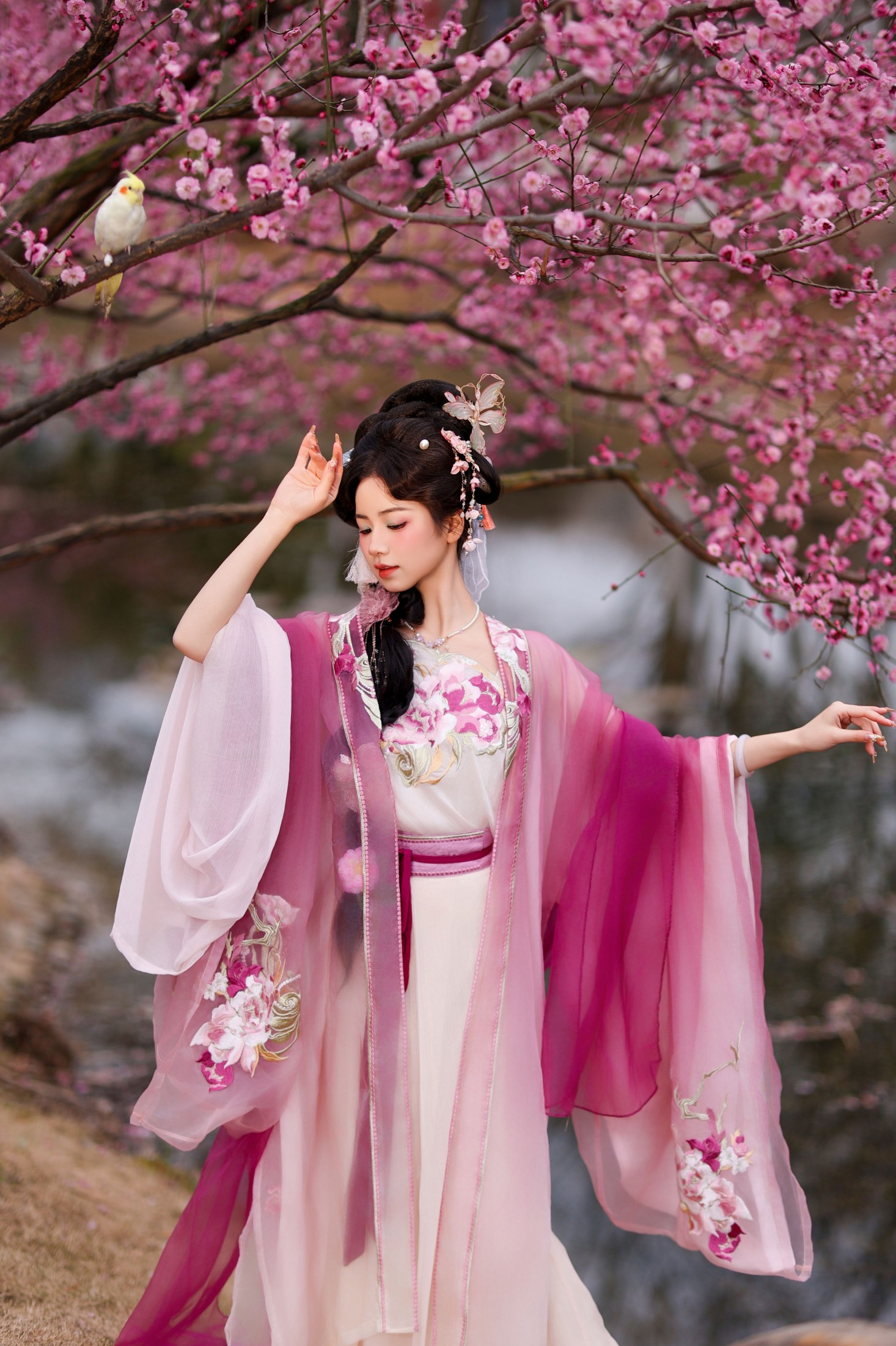 图片[5] - 小杜同学 - 《芍药》[33P] - 机器猫次元 - 机器猫次元