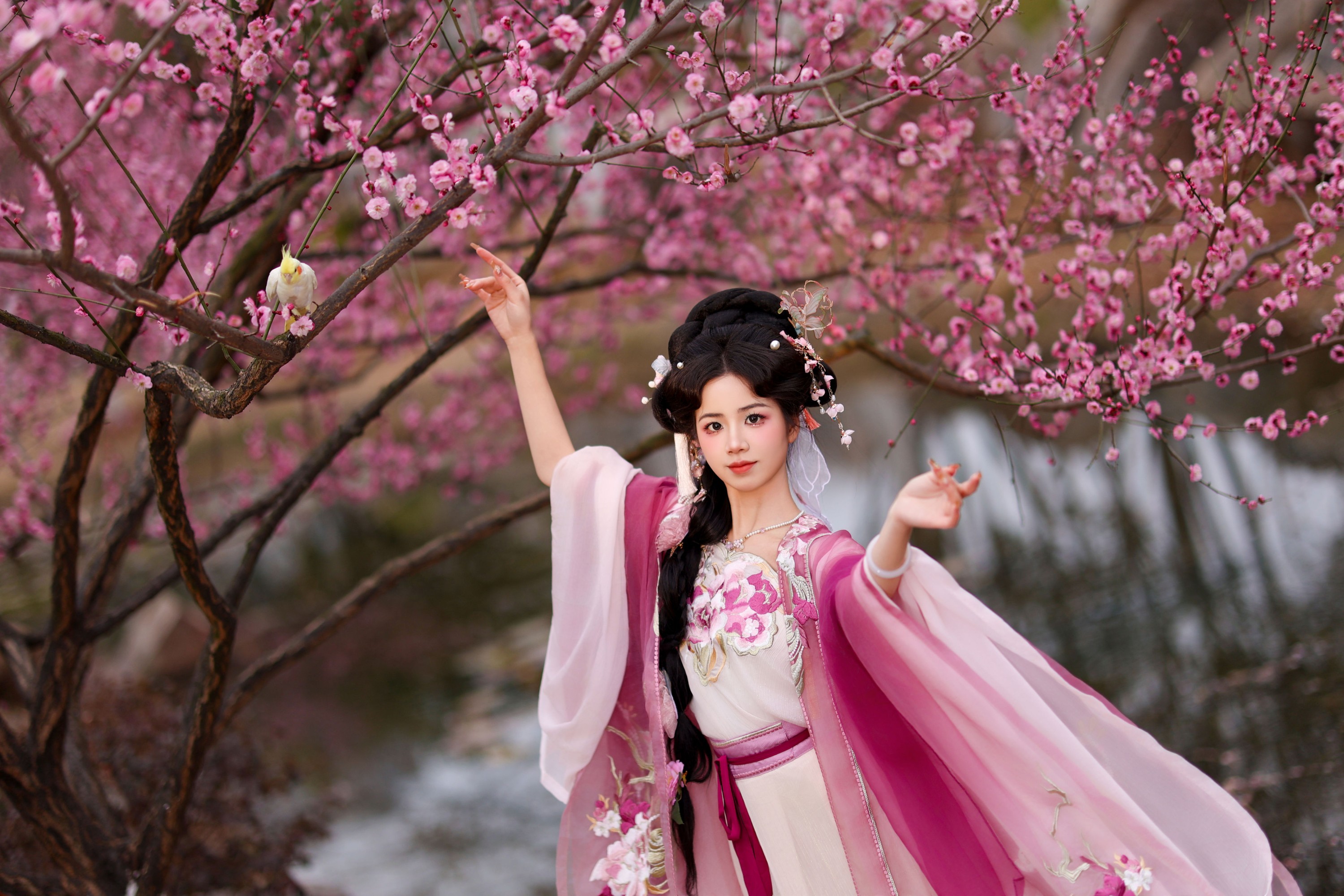 图片[6] - 小杜同学 - 《芍药》[33P] - 机器猫次元 - 机器猫次元