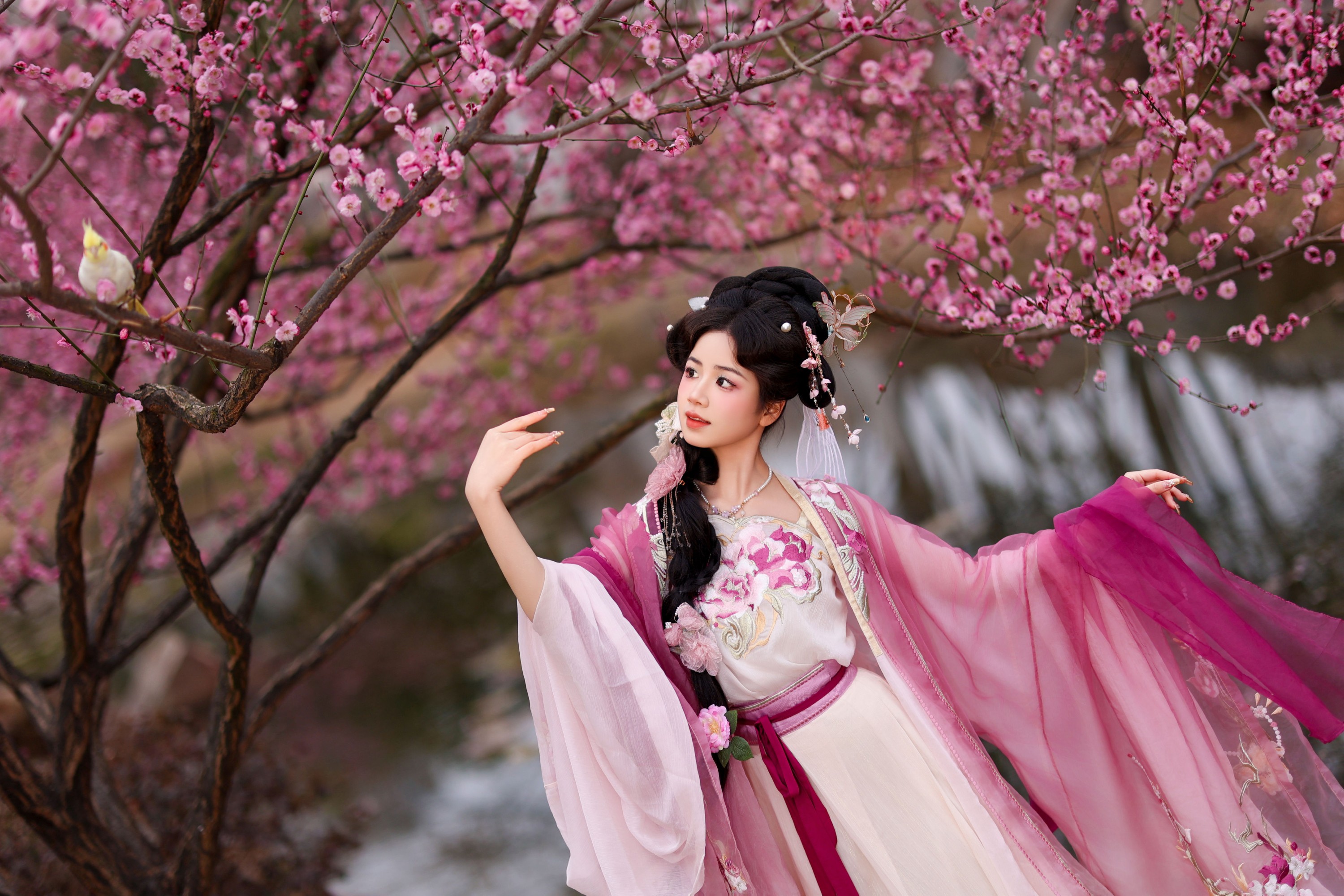 图片[7] - 小杜同学 - 《芍药》[33P] - 机器猫次元 - 机器猫次元