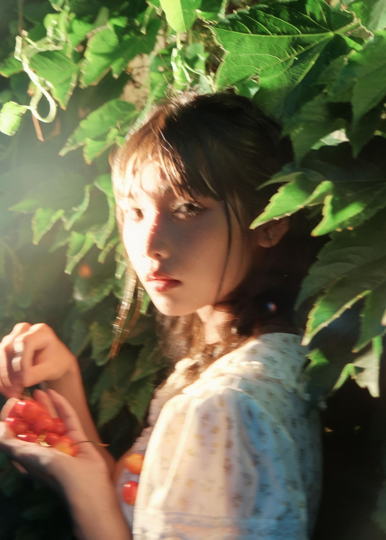 图片[2] - 西一奥 - 《Poor Cherries》[28P] - 机器猫次元 - 机器猫次元