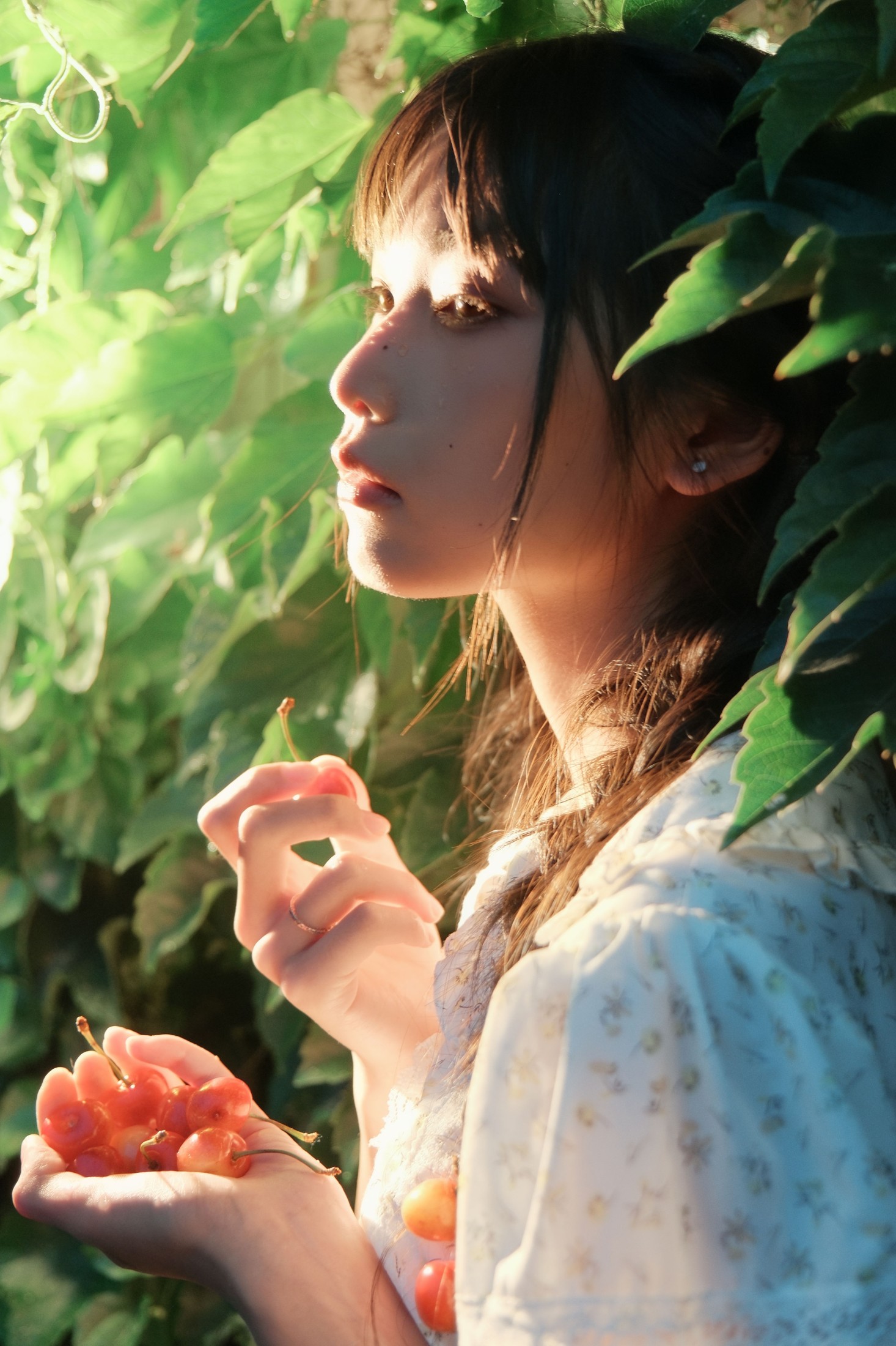 图片[1] - 西一奥 - 《Poor Cherries》[28P] - 机器猫次元 - 机器猫次元