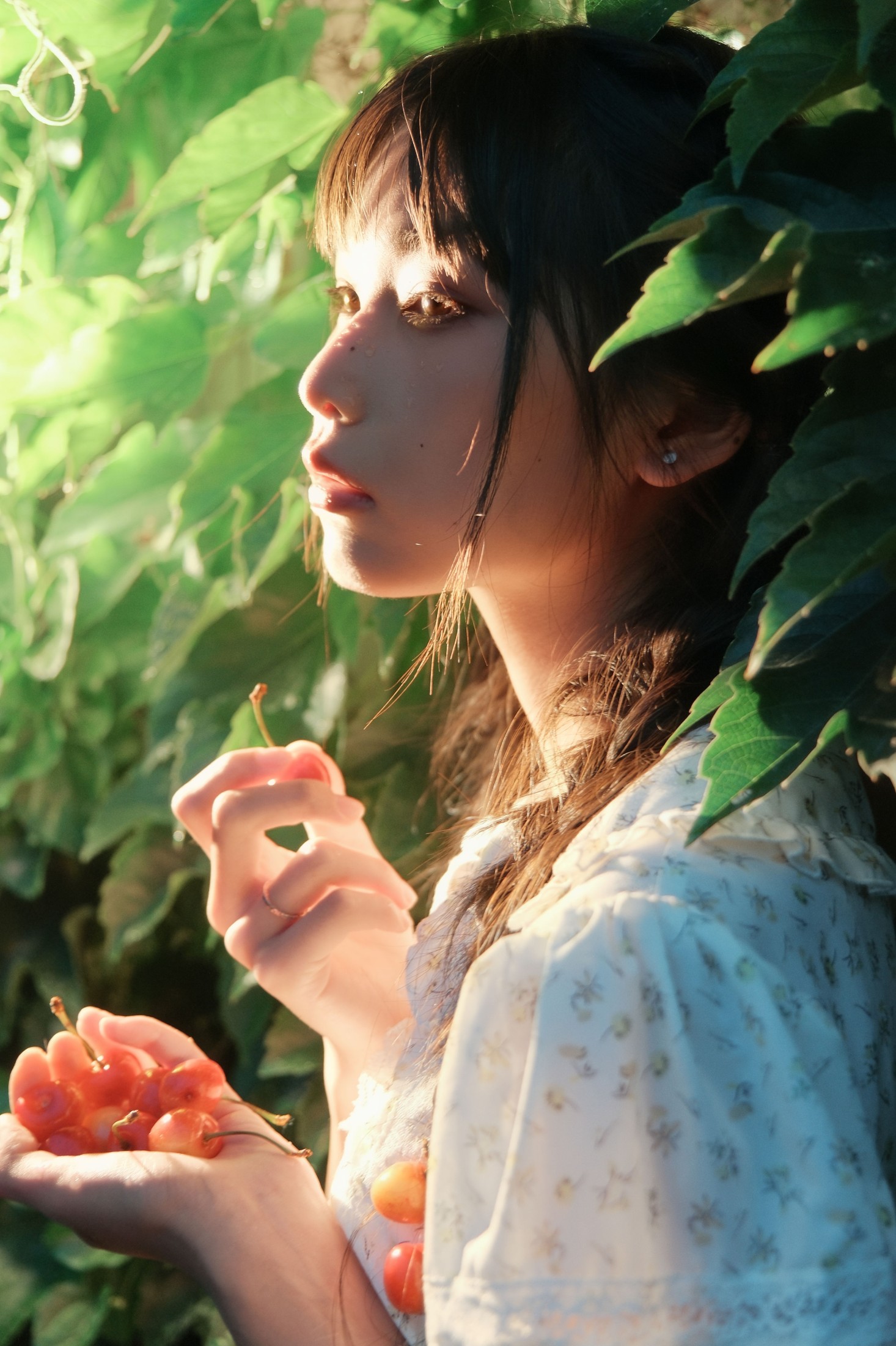 图片[8] - 西一奥 - 《Poor Cherries》[28P] - 机器猫次元 - 机器猫次元