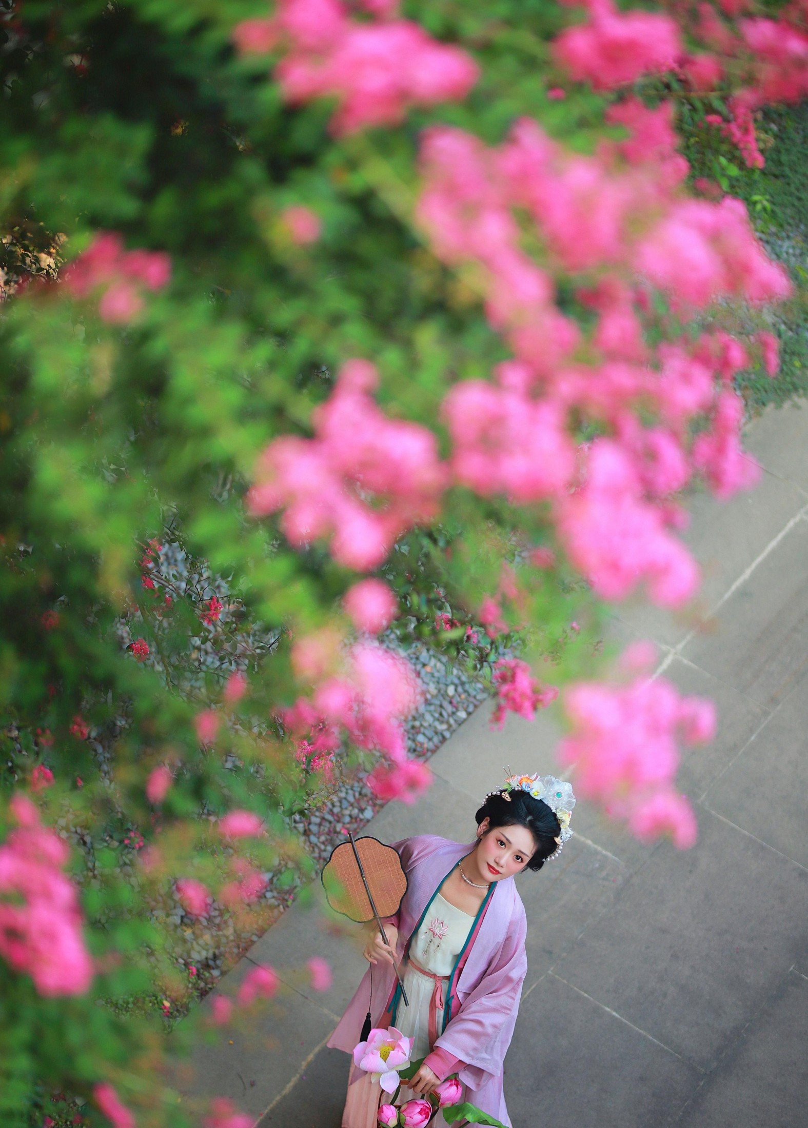 图片[2] - 一只大大大李子 - 《紫薇花开》[27P] - 机器猫次元 - 机器猫次元