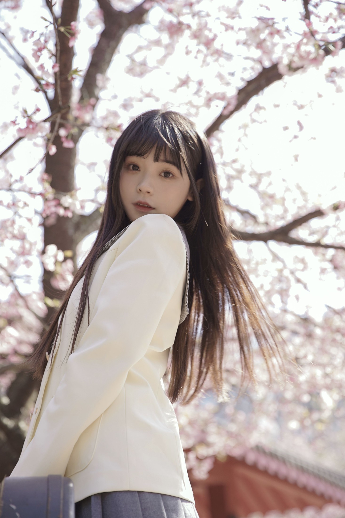 图片[1] - 一只小沁 - 《樱花下的少女》[17P] - 机器猫次元 - 机器猫次元