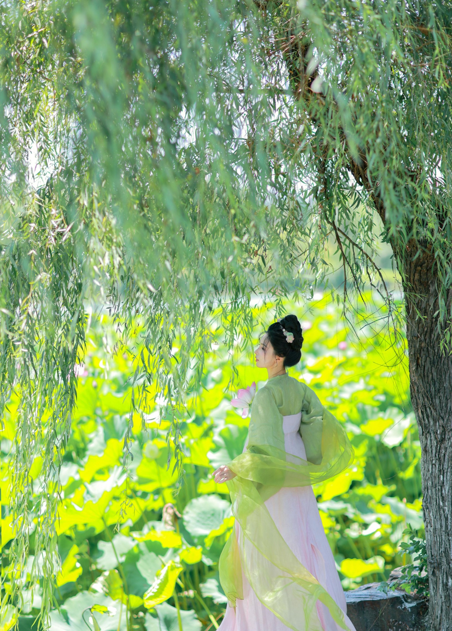 图片[2] - 二氧化棠 - 《绿荫浓，夏日长》[13P] - 机器猫次元 - 机器猫次元