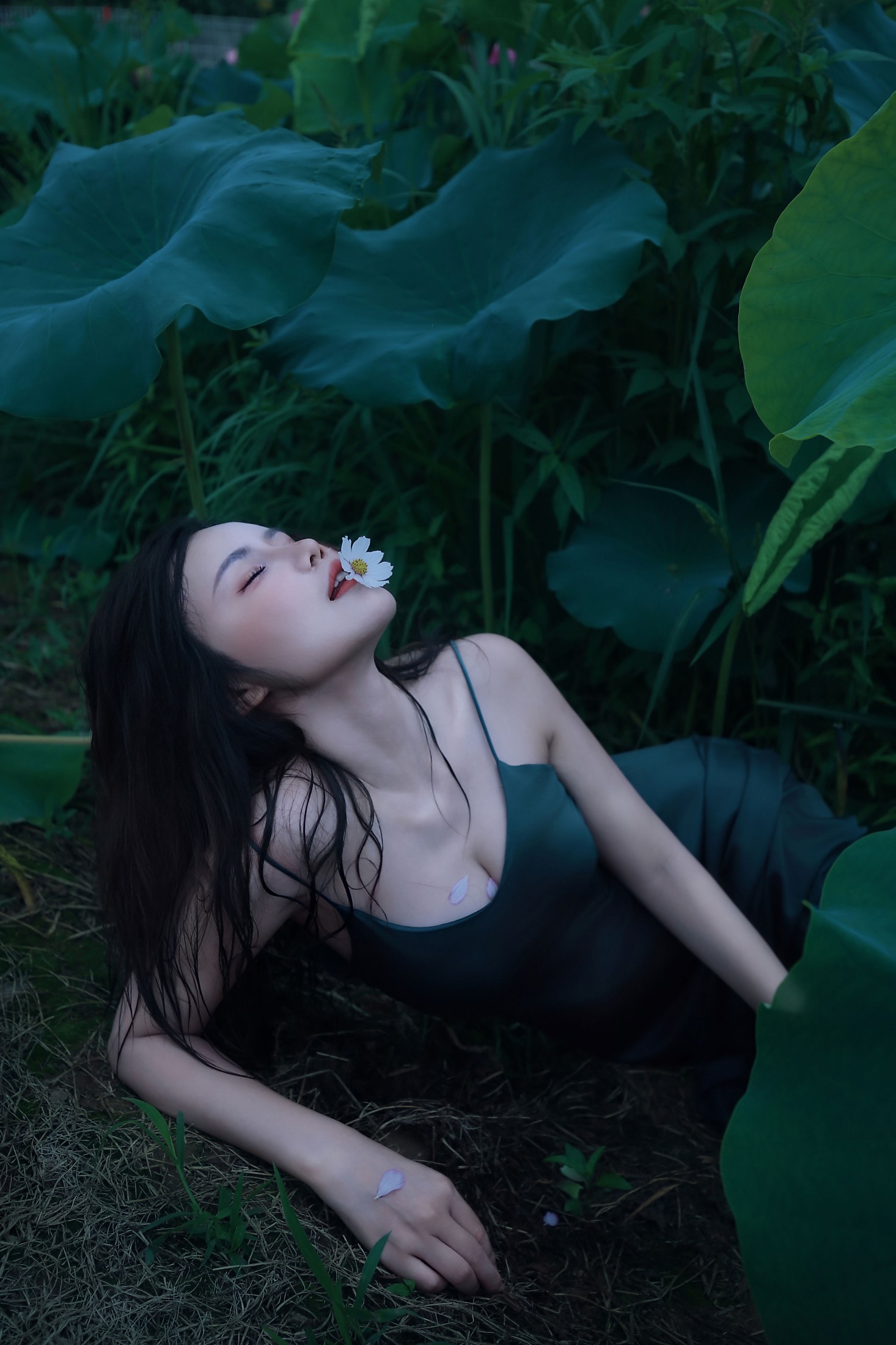 图片[1] - 泽书 - 《碧罗栽夏》[18P] - 机器猫次元 - 机器猫次元