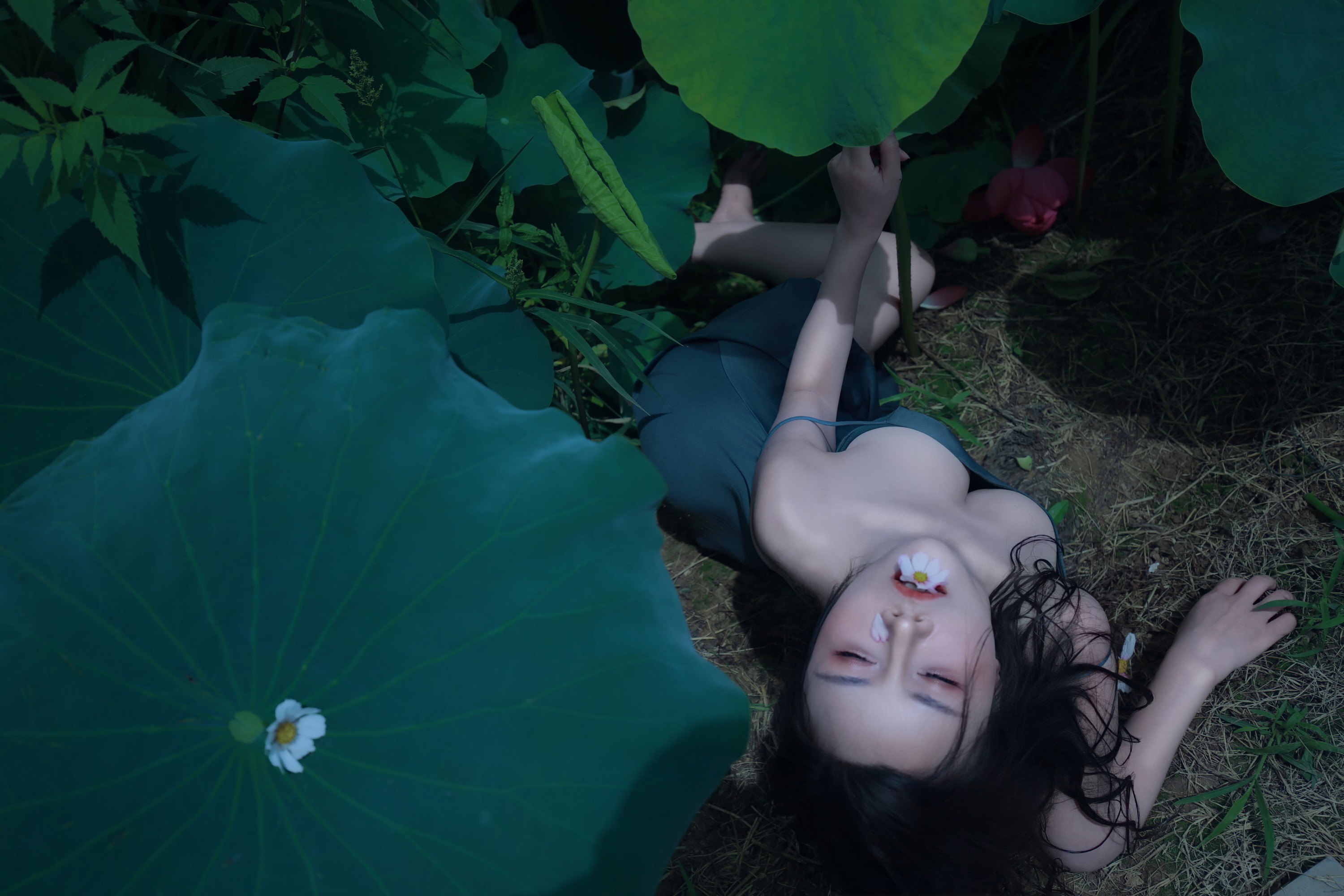 图片[7] - 泽书 - 《碧罗栽夏》[18P] - 机器猫次元 - 机器猫次元