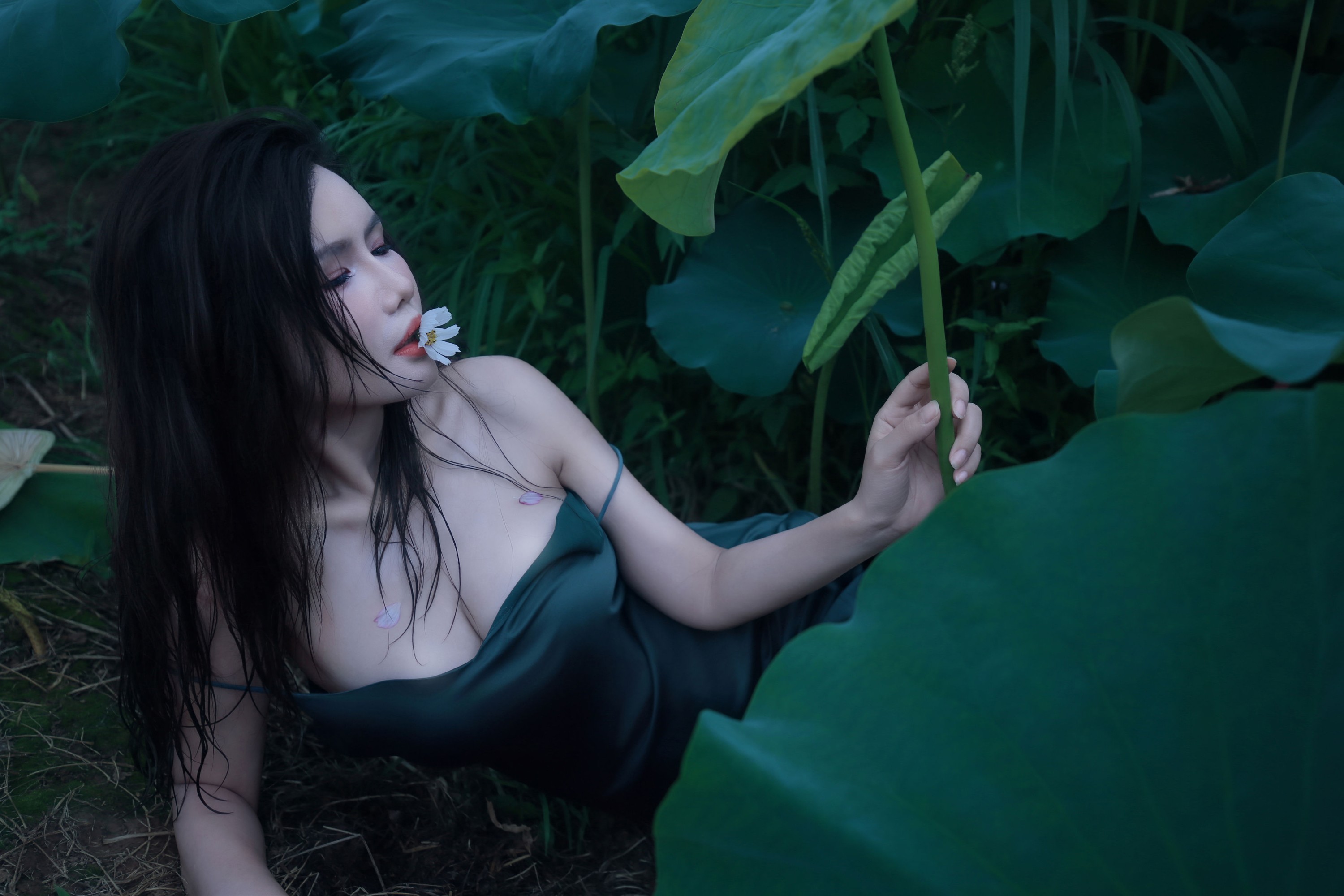 图片[5] - 泽书 - 《碧罗栽夏》[18P] - 机器猫次元 - 机器猫次元