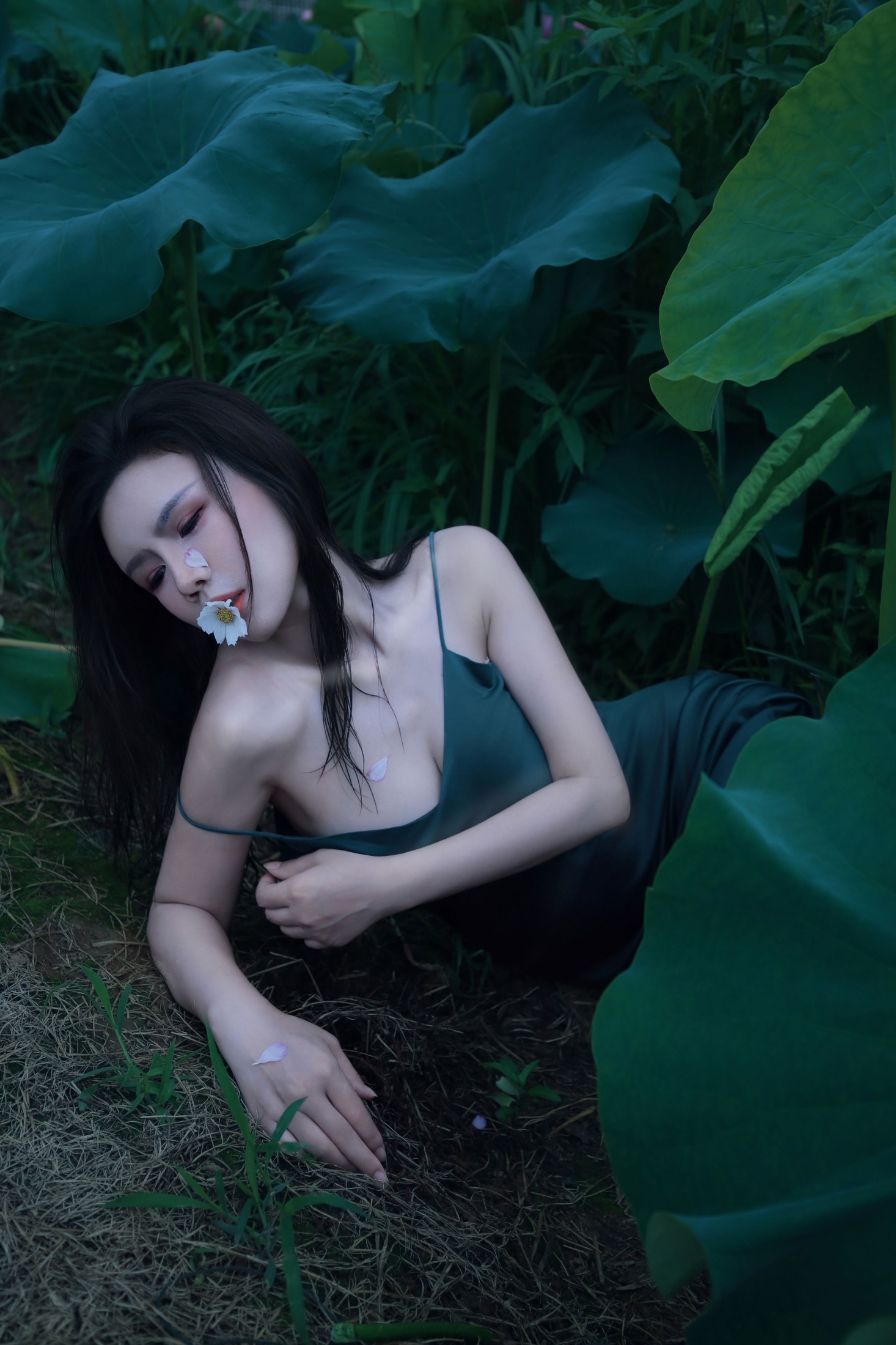 图片[4] - 泽书 - 《碧罗栽夏》[18P] - 机器猫次元 - 机器猫次元