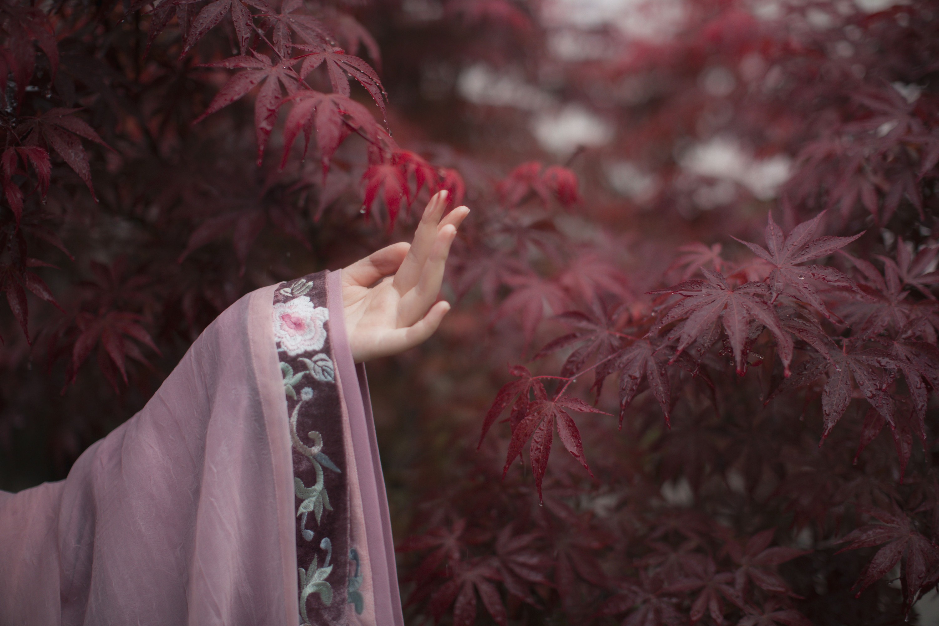 图片[7] - 公子不坏 - 《绮疏》[18P] - 机器猫次元 - 机器猫次元