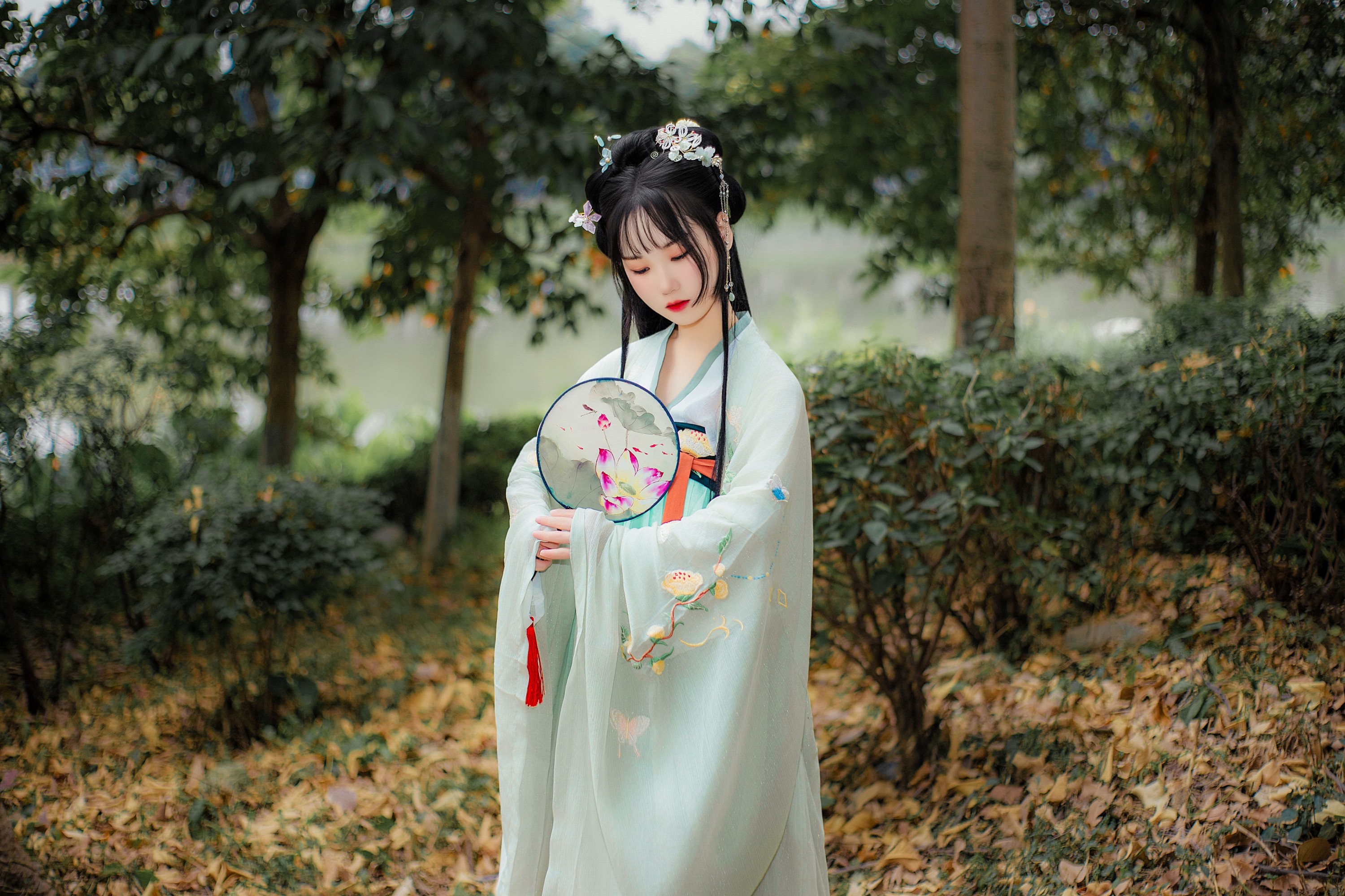 图片[1] - 野樱 - 《晓青衫》[15P] - 机器猫次元 - 机器猫次元