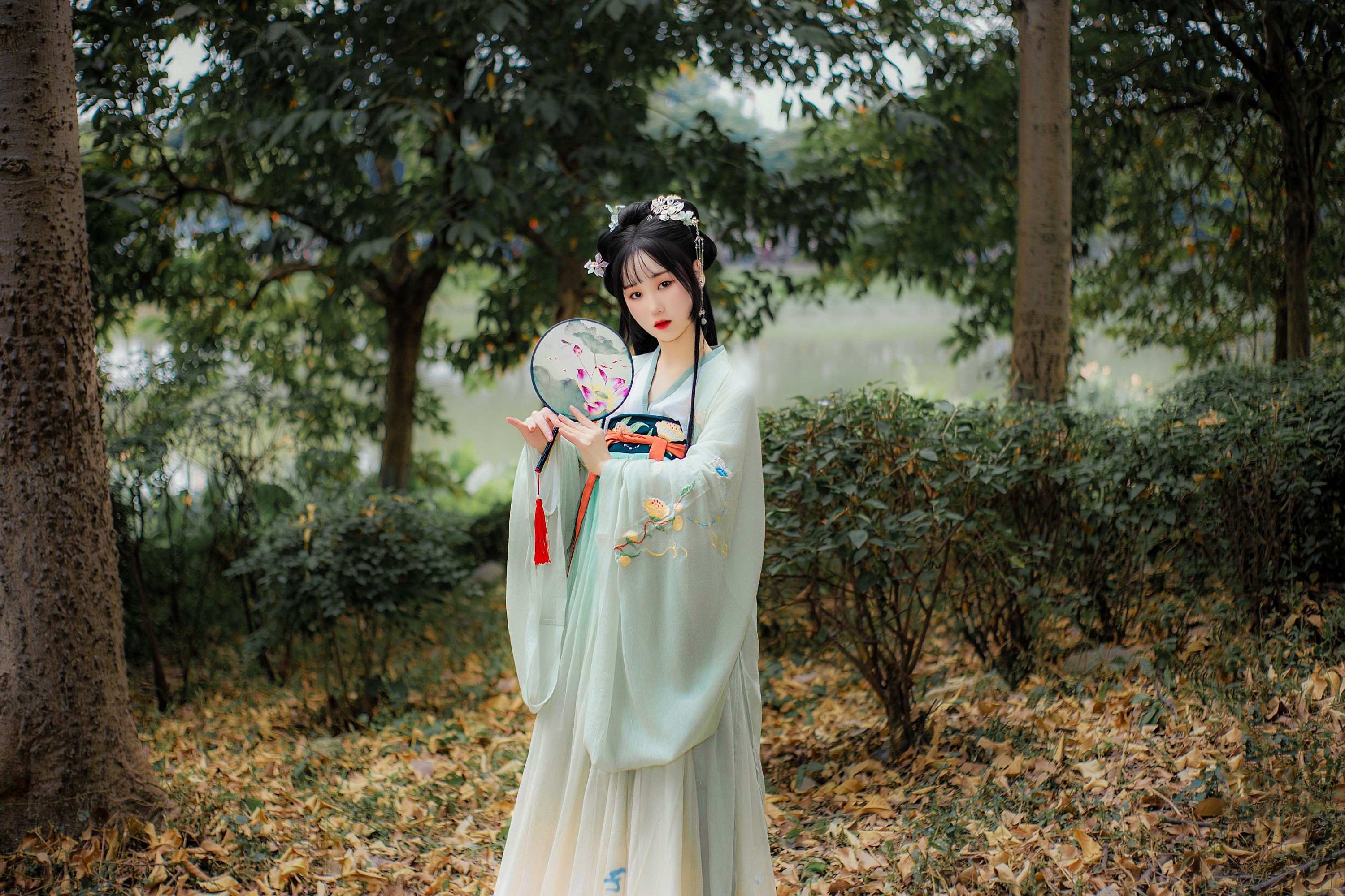 图片[3] - 野樱 - 《晓青衫》[15P] - 机器猫次元 - 机器猫次元