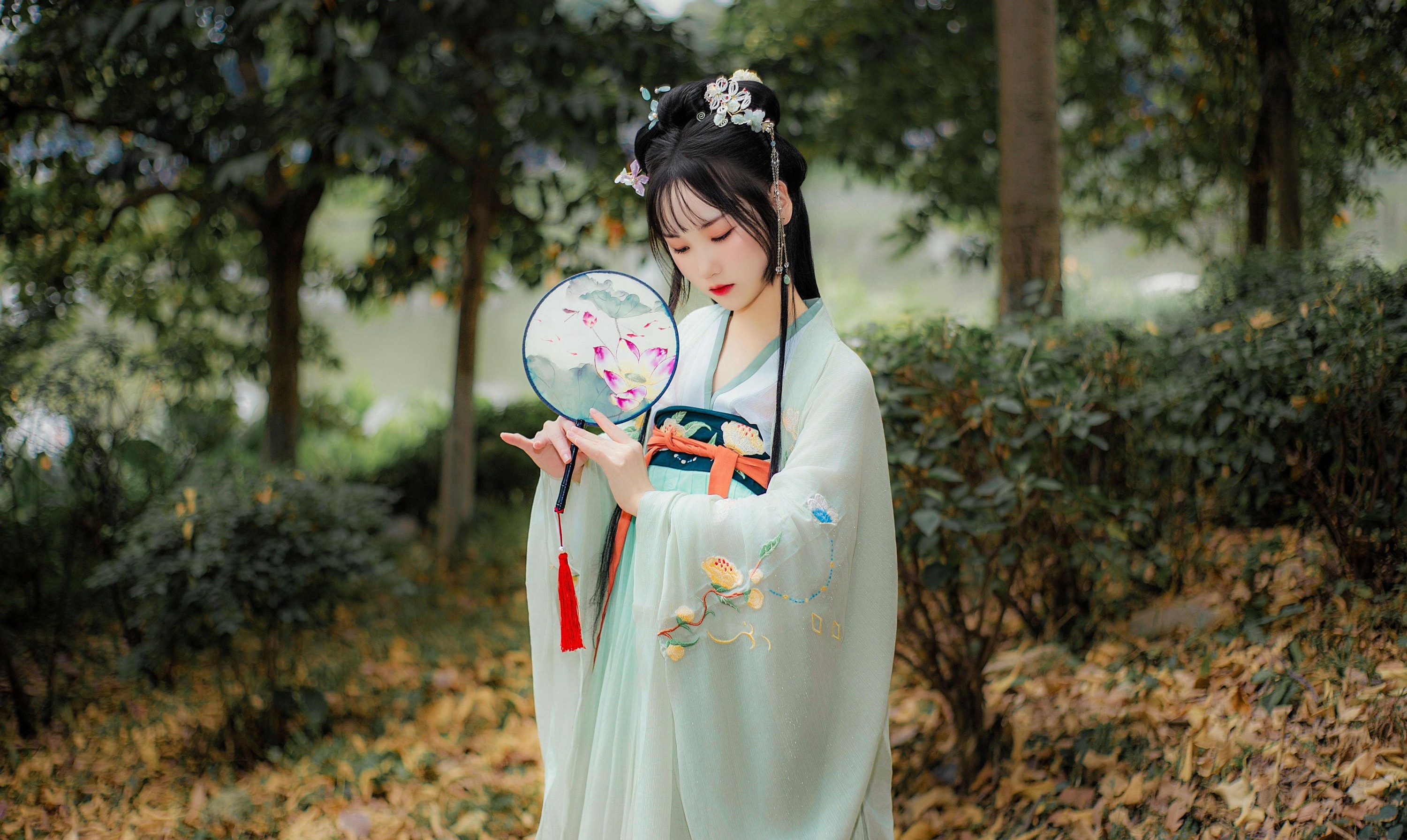 图片[2] - 野樱 - 《晓青衫》[15P] - 机器猫次元 - 机器猫次元
