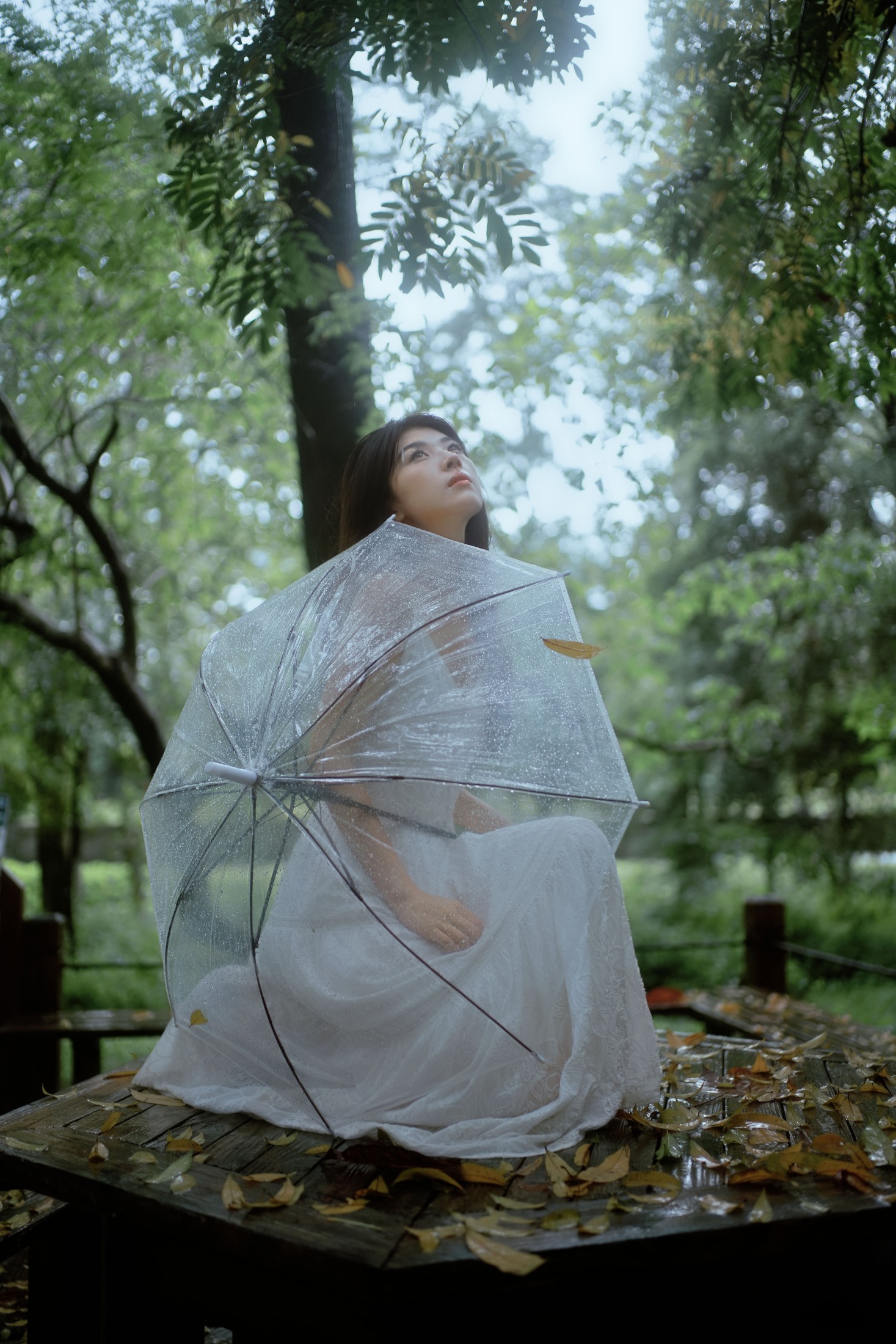 图片[3] - 小鹿 - 《雨落林间，邂逅白裙仙子》[20P] - 机器猫次元 - 机器猫次元