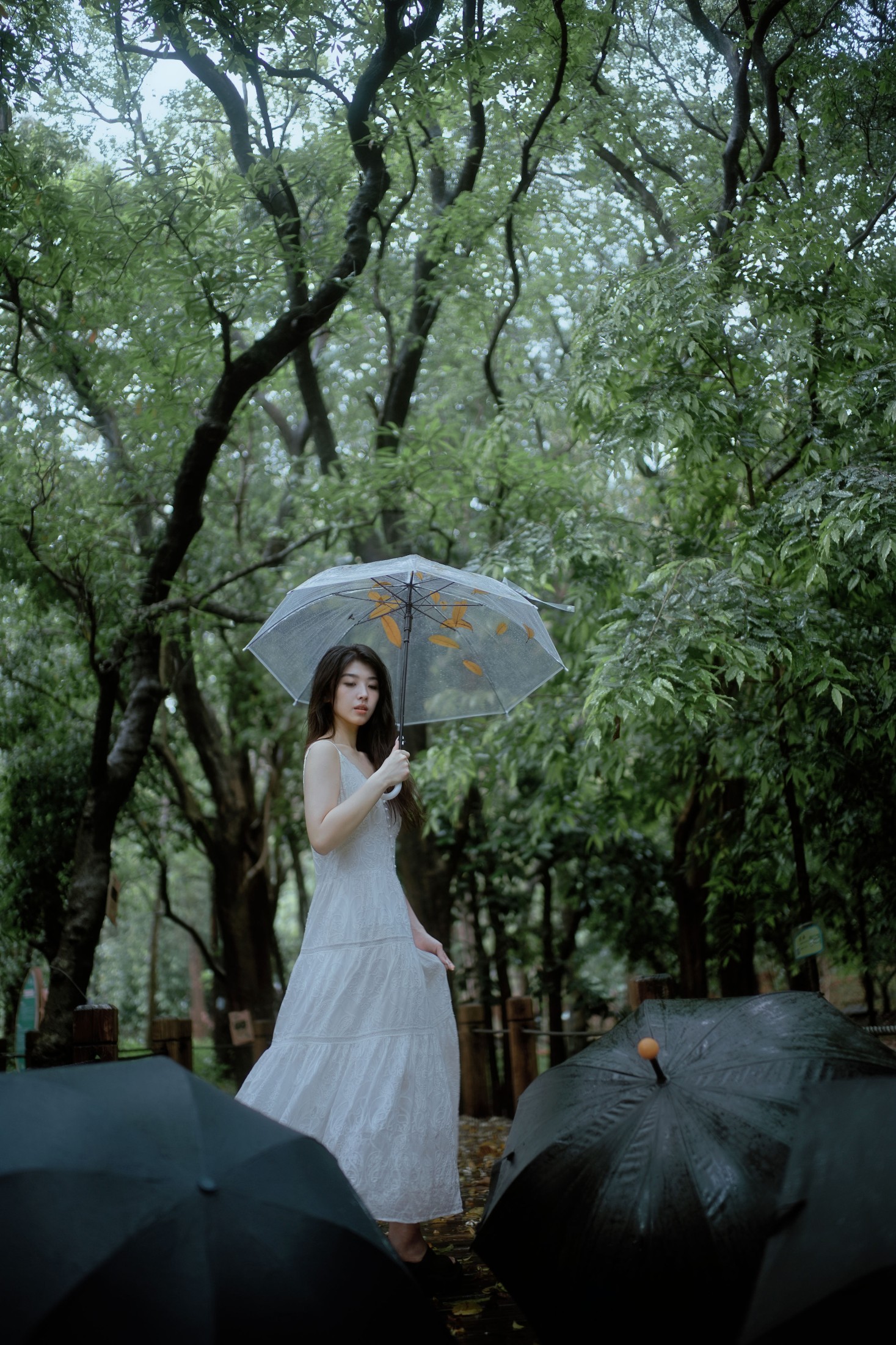 图片[5] - 小鹿 - 《雨落林间，邂逅白裙仙子》[20P] - 机器猫次元 - 机器猫次元