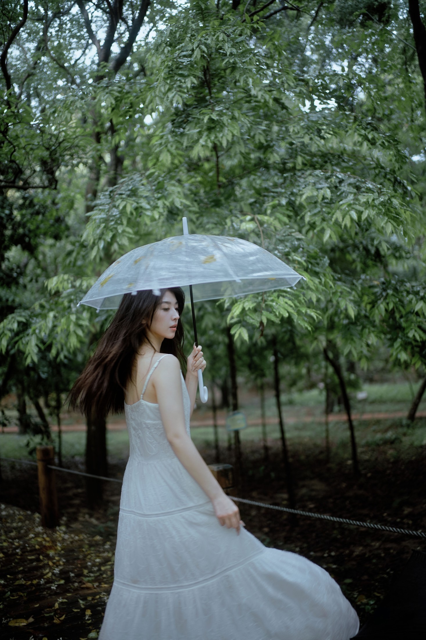 图片[6] - 小鹿 - 《雨落林间，邂逅白裙仙子》[20P] - 机器猫次元 - 机器猫次元
