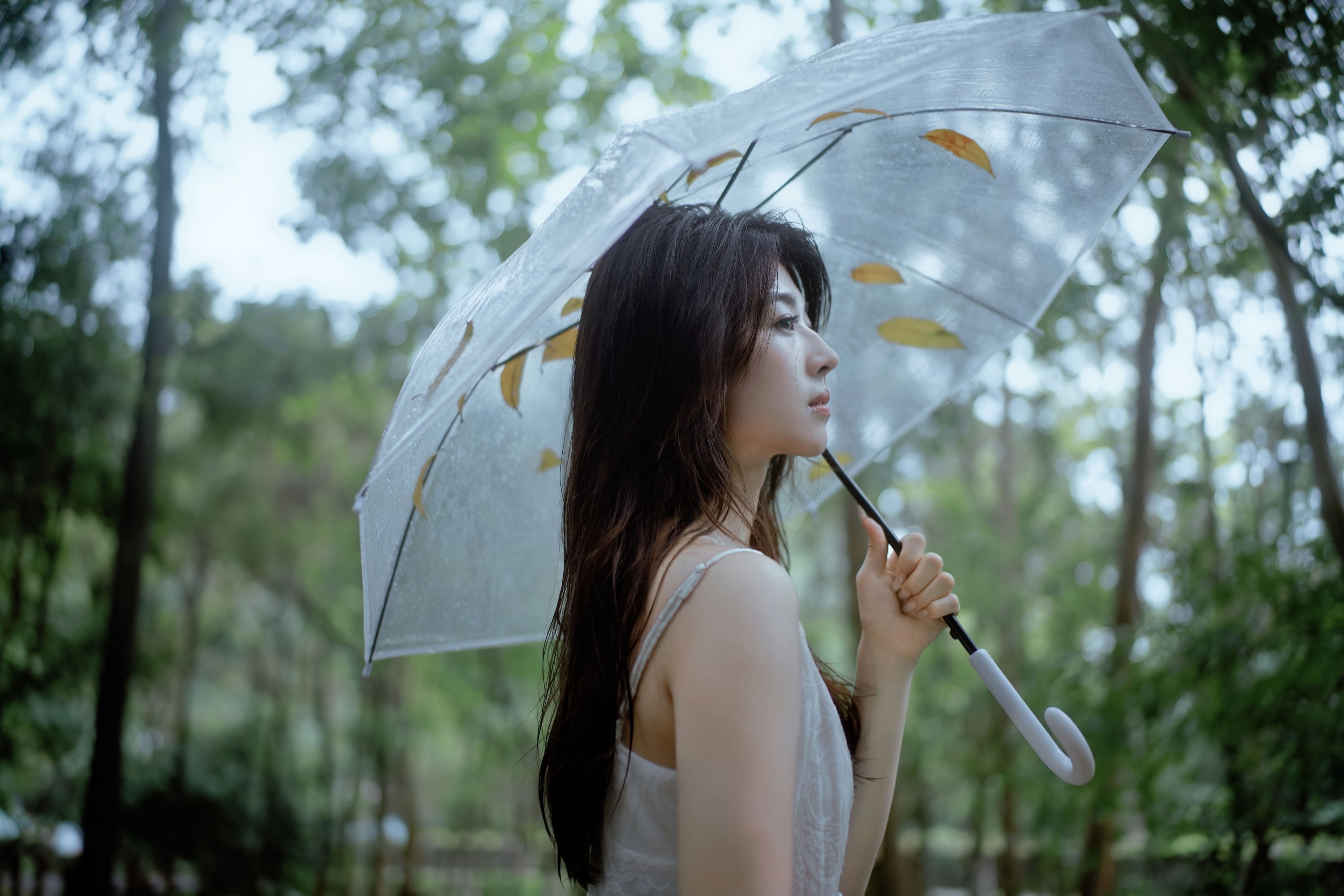 图片[1] - 小鹿 - 《雨落林间，邂逅白裙仙子》[20P] - 机器猫次元 - 机器猫次元