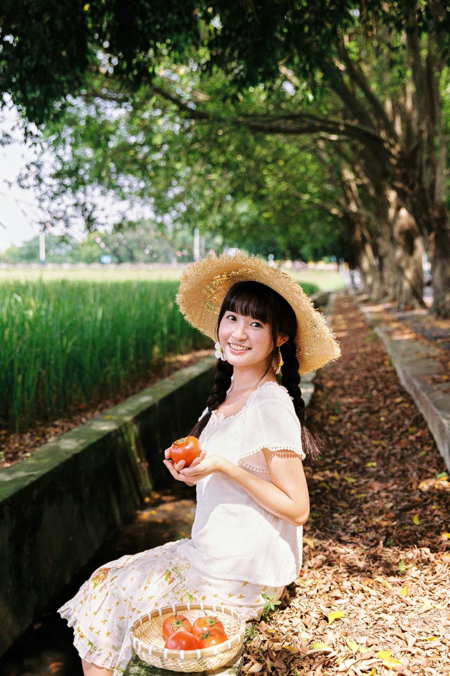 图片[1] - 奇妙莉莉子 - 《我喜欢的盛夏》[16P] - 机器猫次元 - 机器猫次元