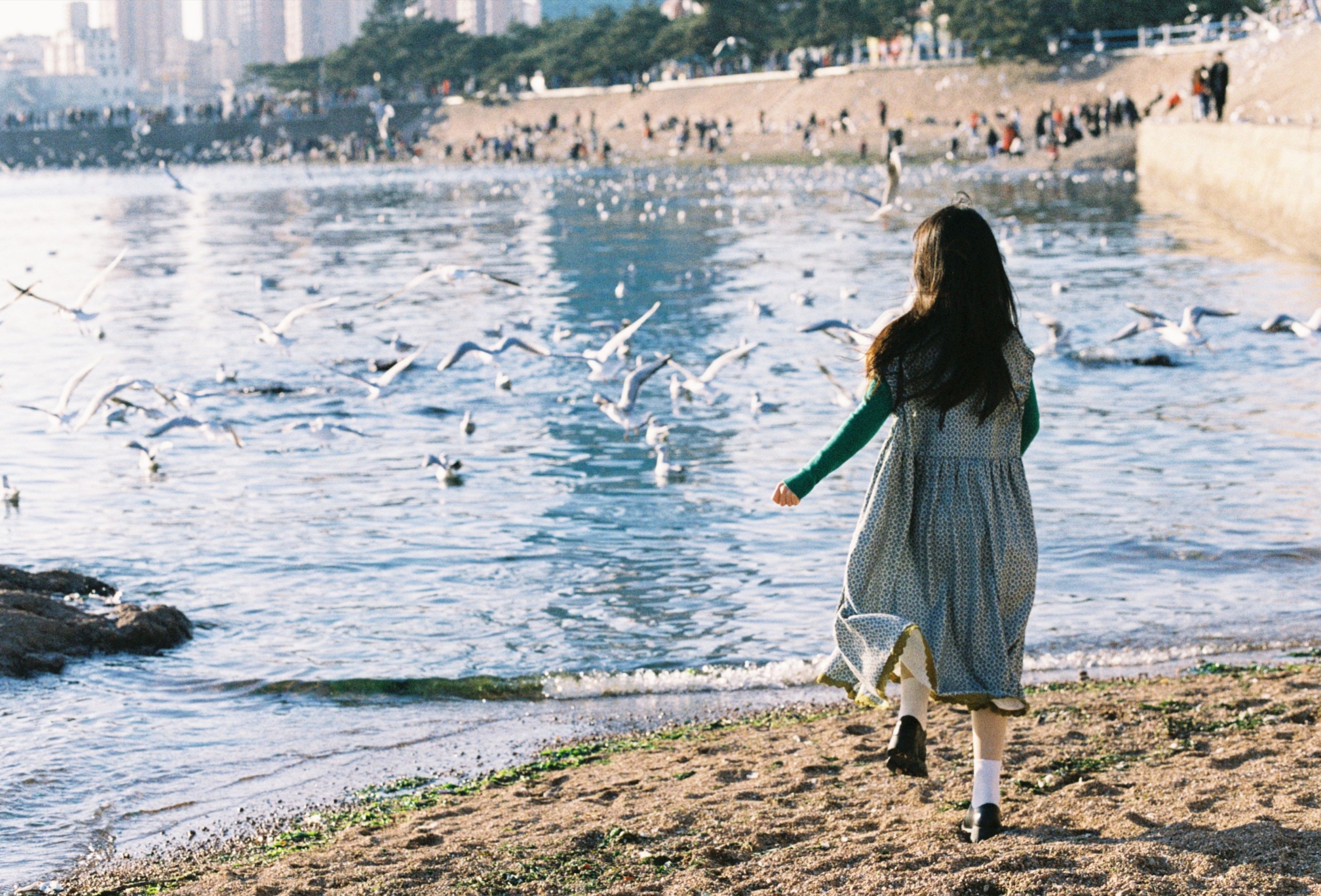 图片[4] - 圆脸诺 - 《海鸥不再眷恋大海》[28P] - 机器猫次元 - 机器猫次元