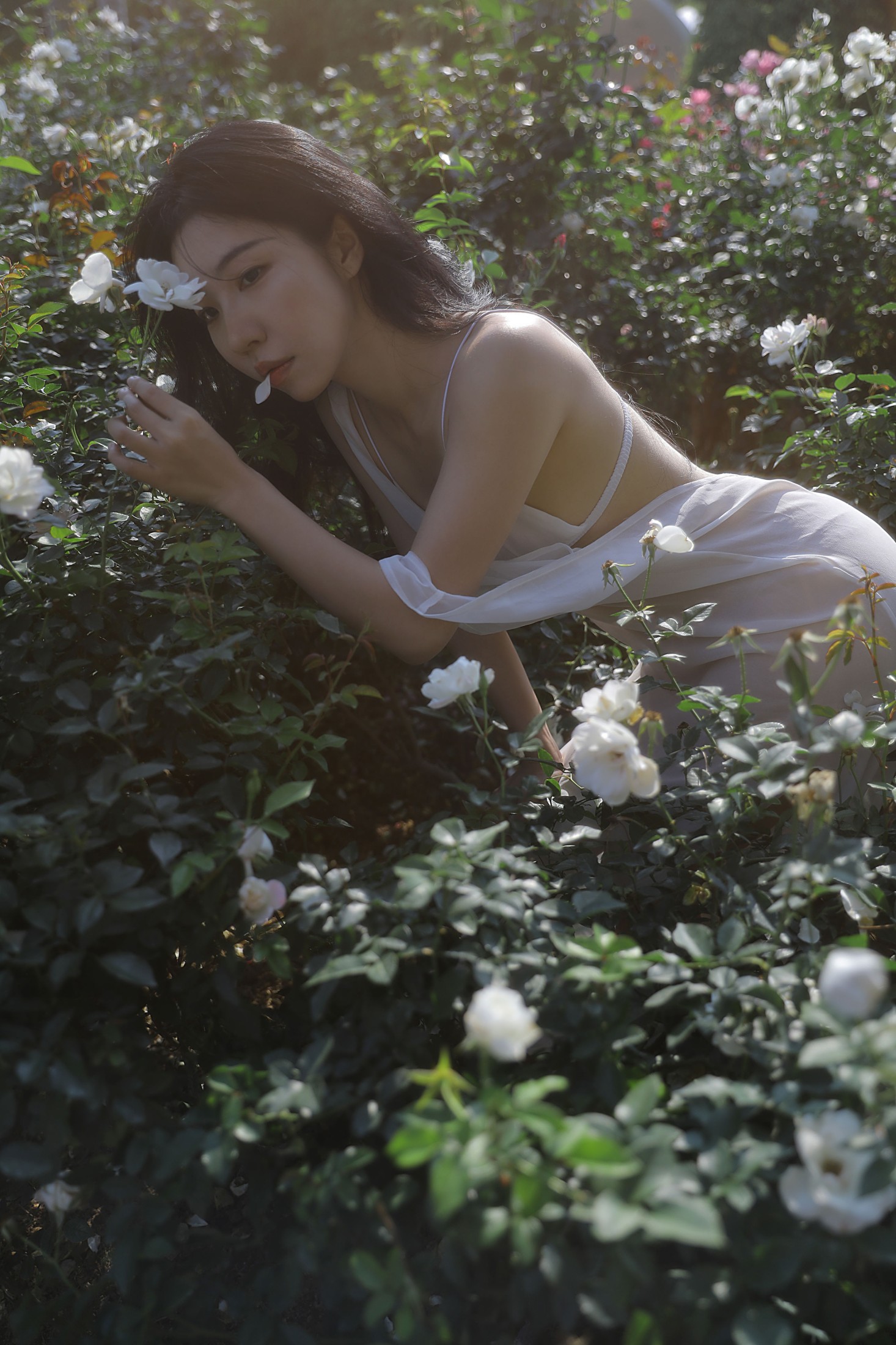 图片[5] - Wendy园子模特 - 《细嗅蔷薇》[19P] - 机器猫次元 - 机器猫次元