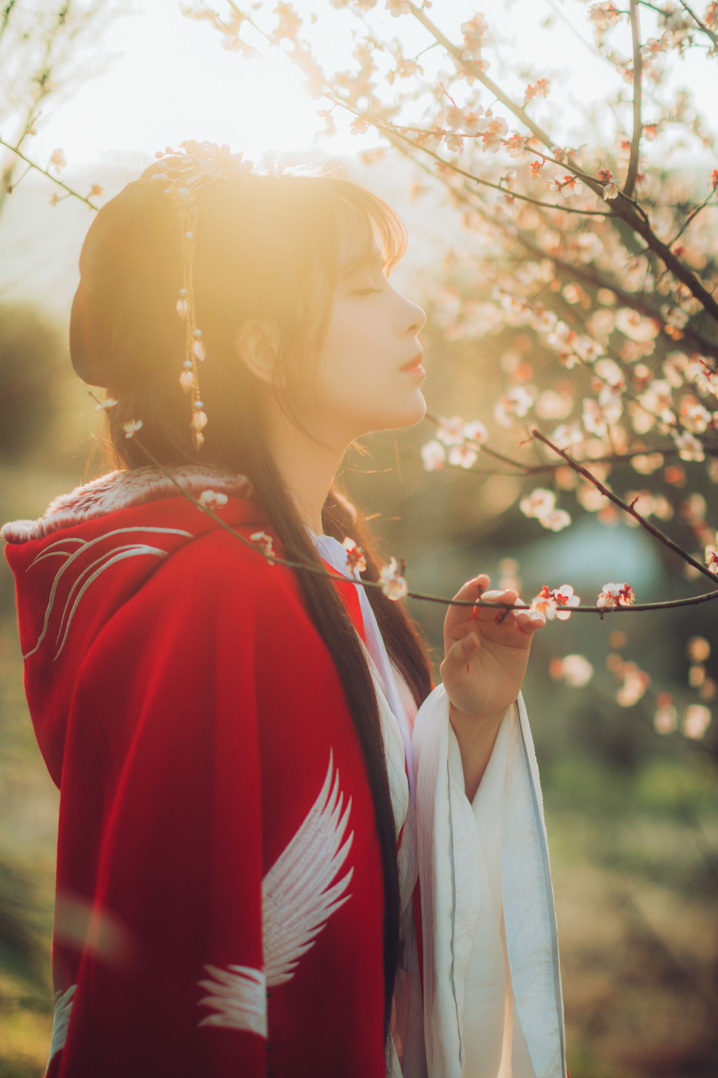 图片[7] - 公子不坏 - 《梅间心上》[15P] - 机器猫次元 - 机器猫次元