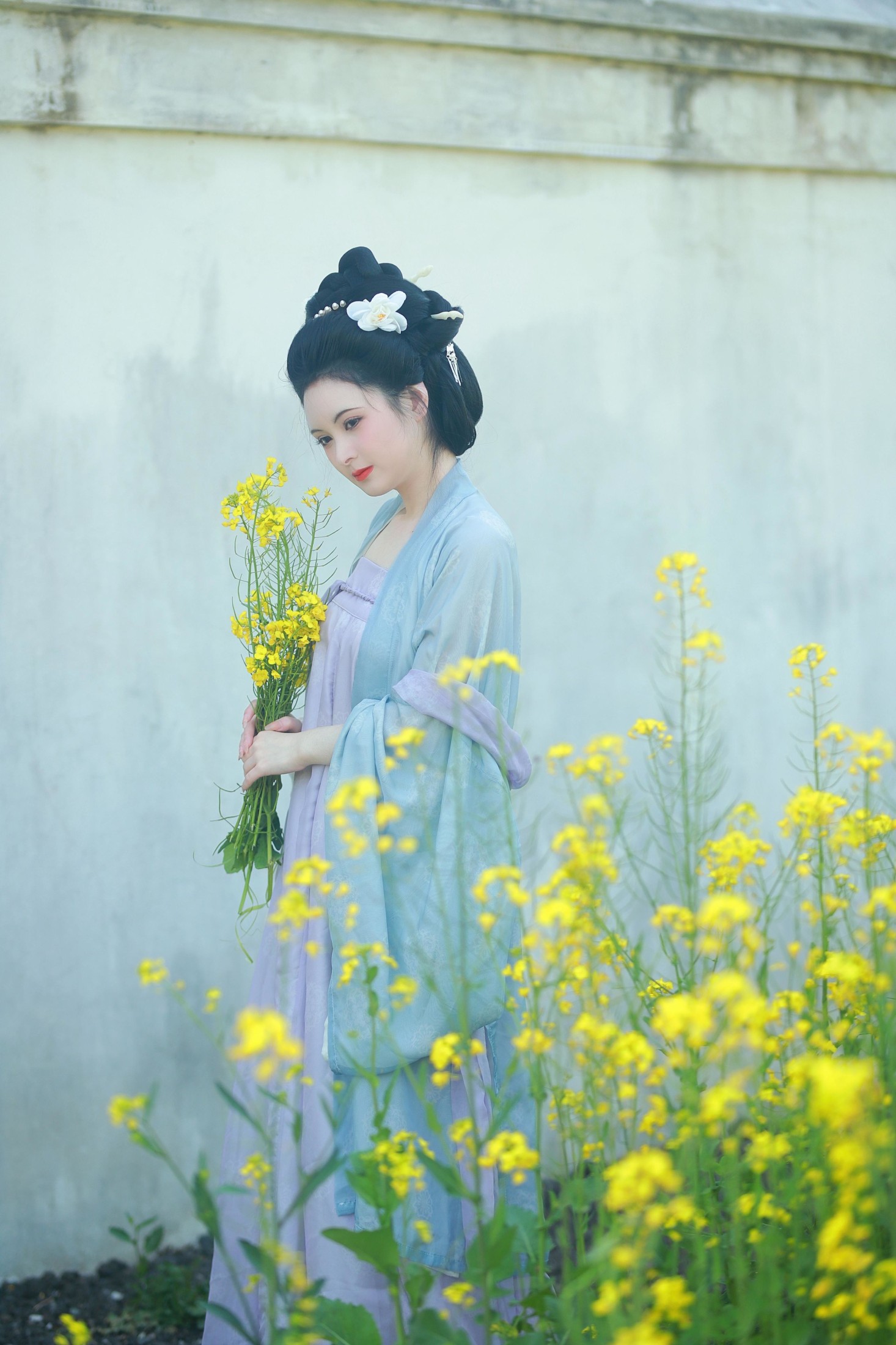 图片[6] - 6161 - 《唐风写真油菜花》[24P] - 机器猫次元 - 机器猫次元