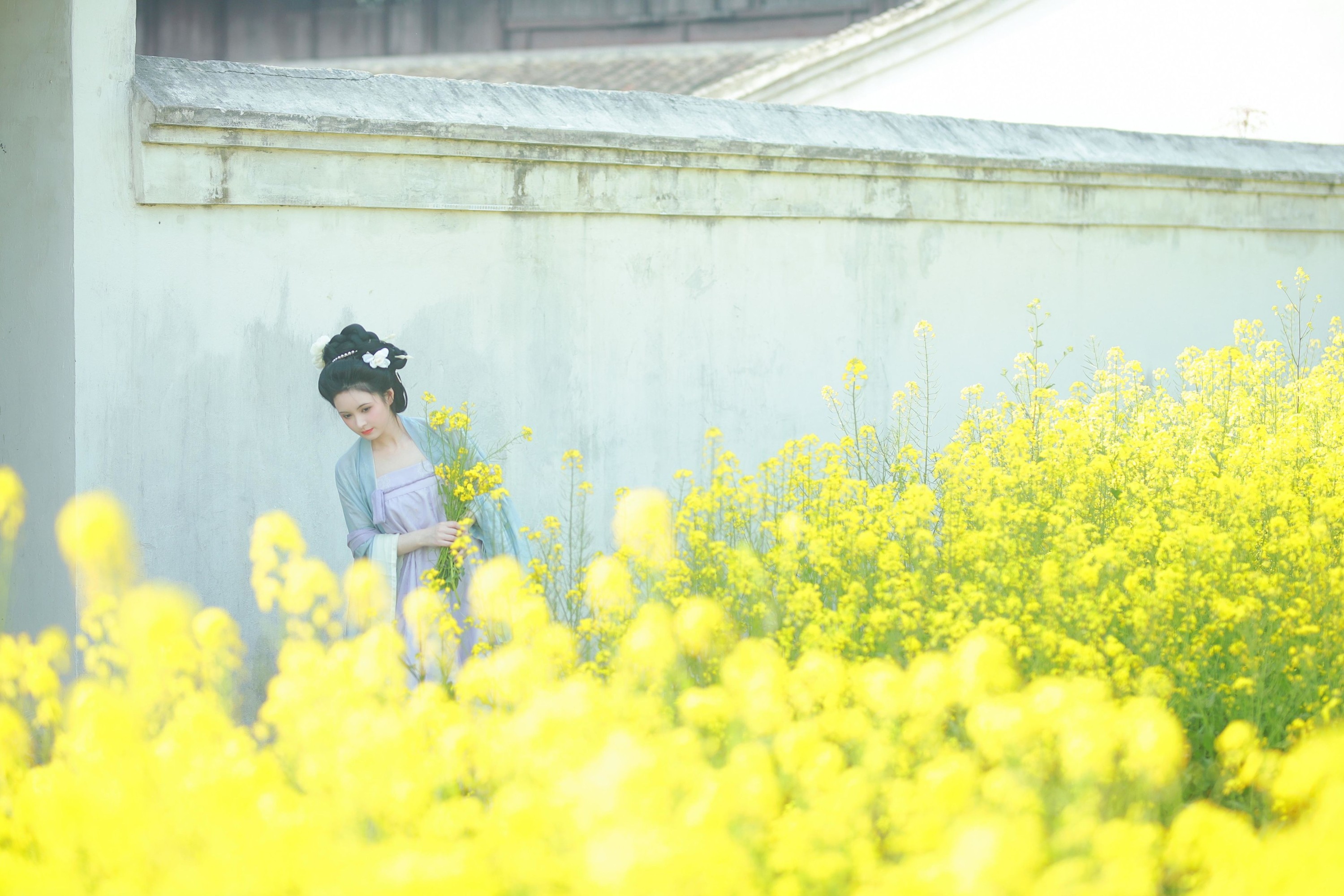 图片[5] - 6161 - 《唐风写真油菜花》[24P] - 机器猫次元 - 机器猫次元