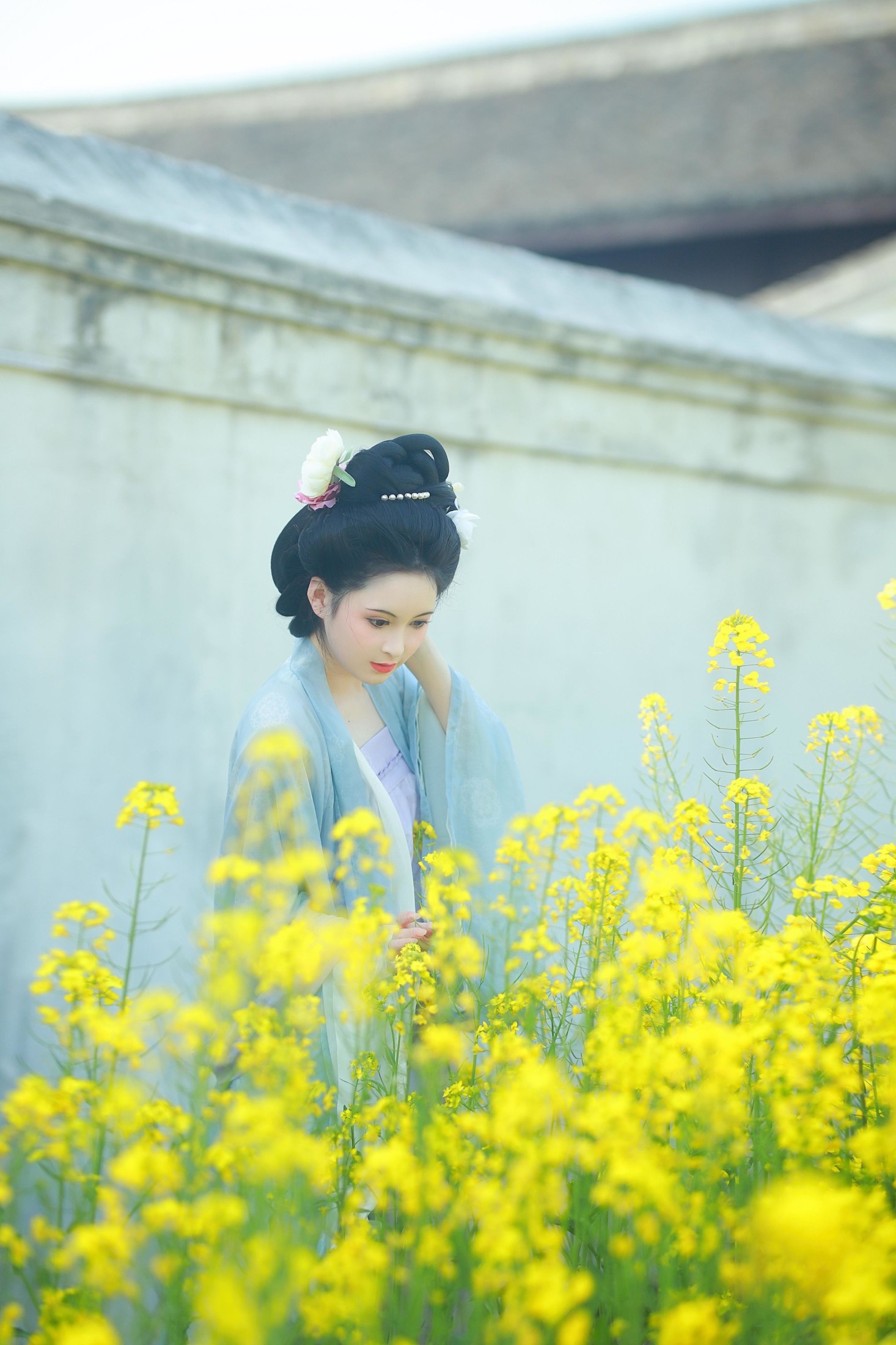 图片[1] - 6161 - 《唐风写真油菜花》[24P] - 机器猫次元 - 机器猫次元