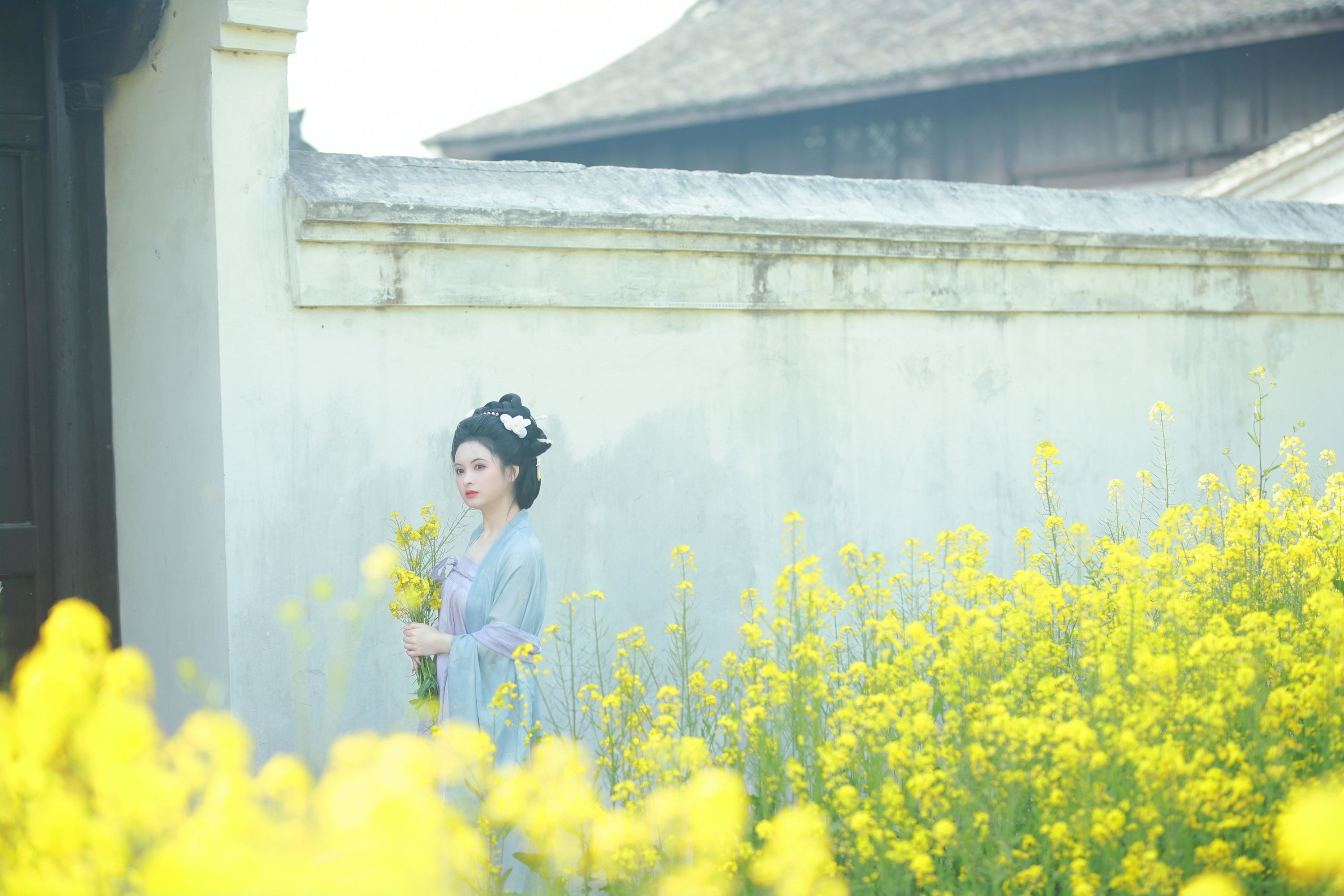 图片[3] - 6161 - 《唐风写真油菜花》[24P] - 机器猫次元 - 机器猫次元