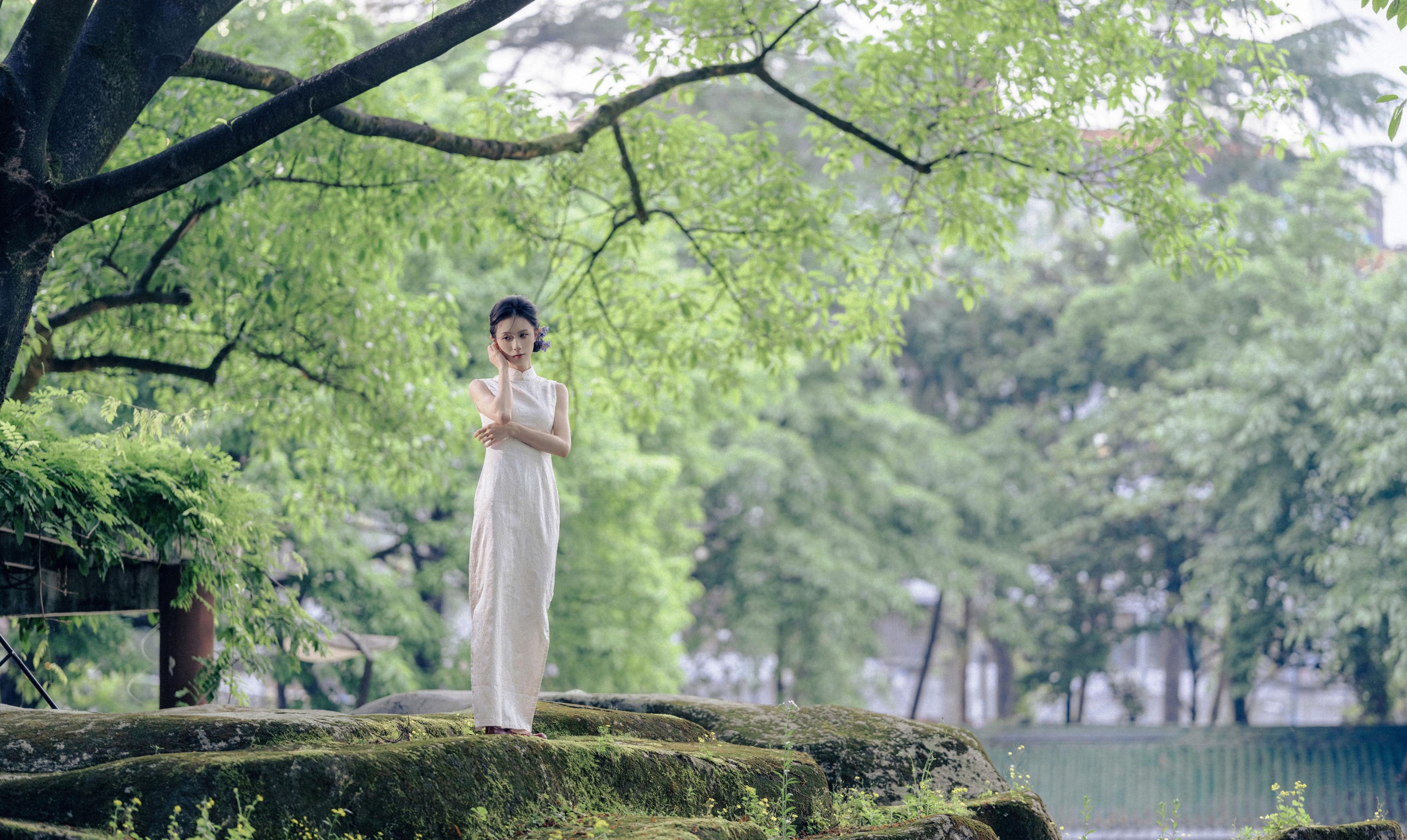 图片[2] - 沧沧 - 《白兰》[17P] - 机器猫次元 - 机器猫次元