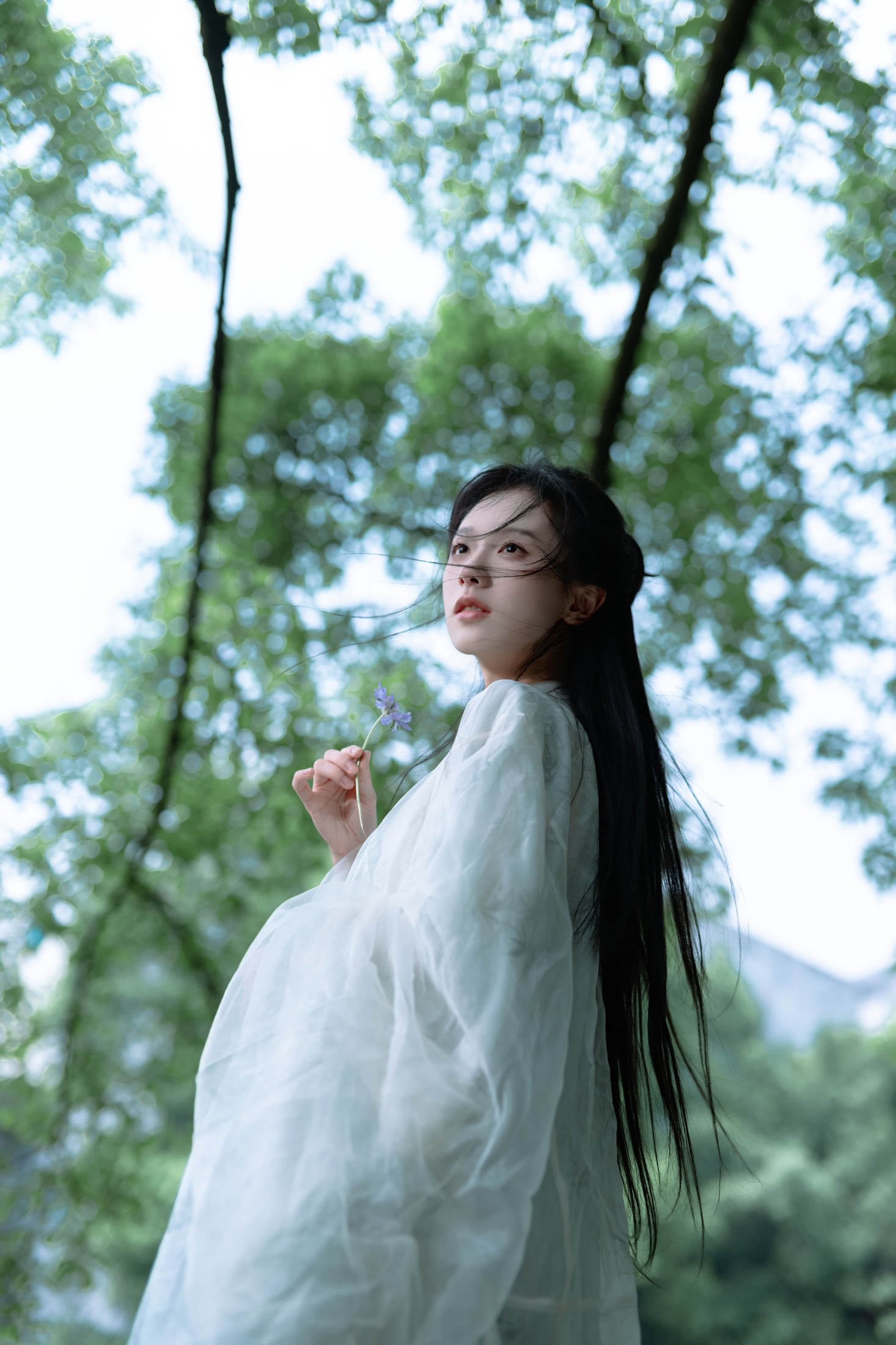 图片[1] - 沧沧 - 《吟游诗人》[17P] - 机器猫次元 - 机器猫次元
