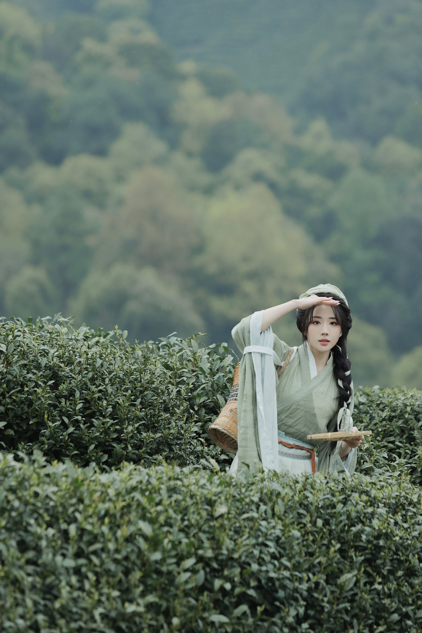 图片[6] - 是真的南渊 - 《采茶》[81P] - 机器猫次元 - 机器猫次元