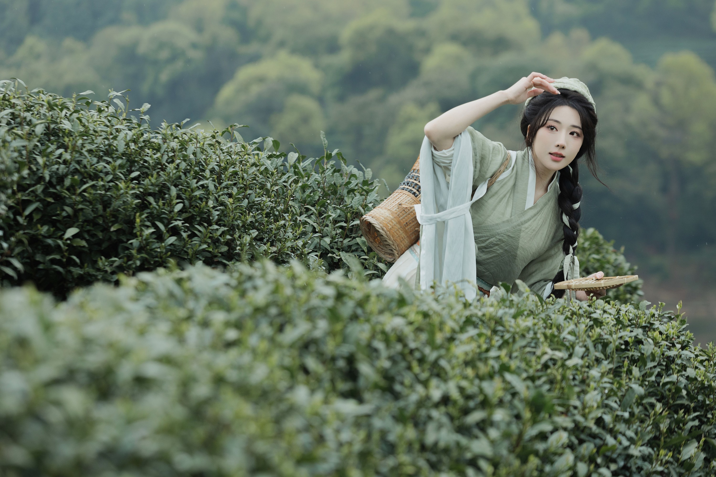 图片[8] - 是真的南渊 - 《采茶》[81P] - 机器猫次元 - 机器猫次元