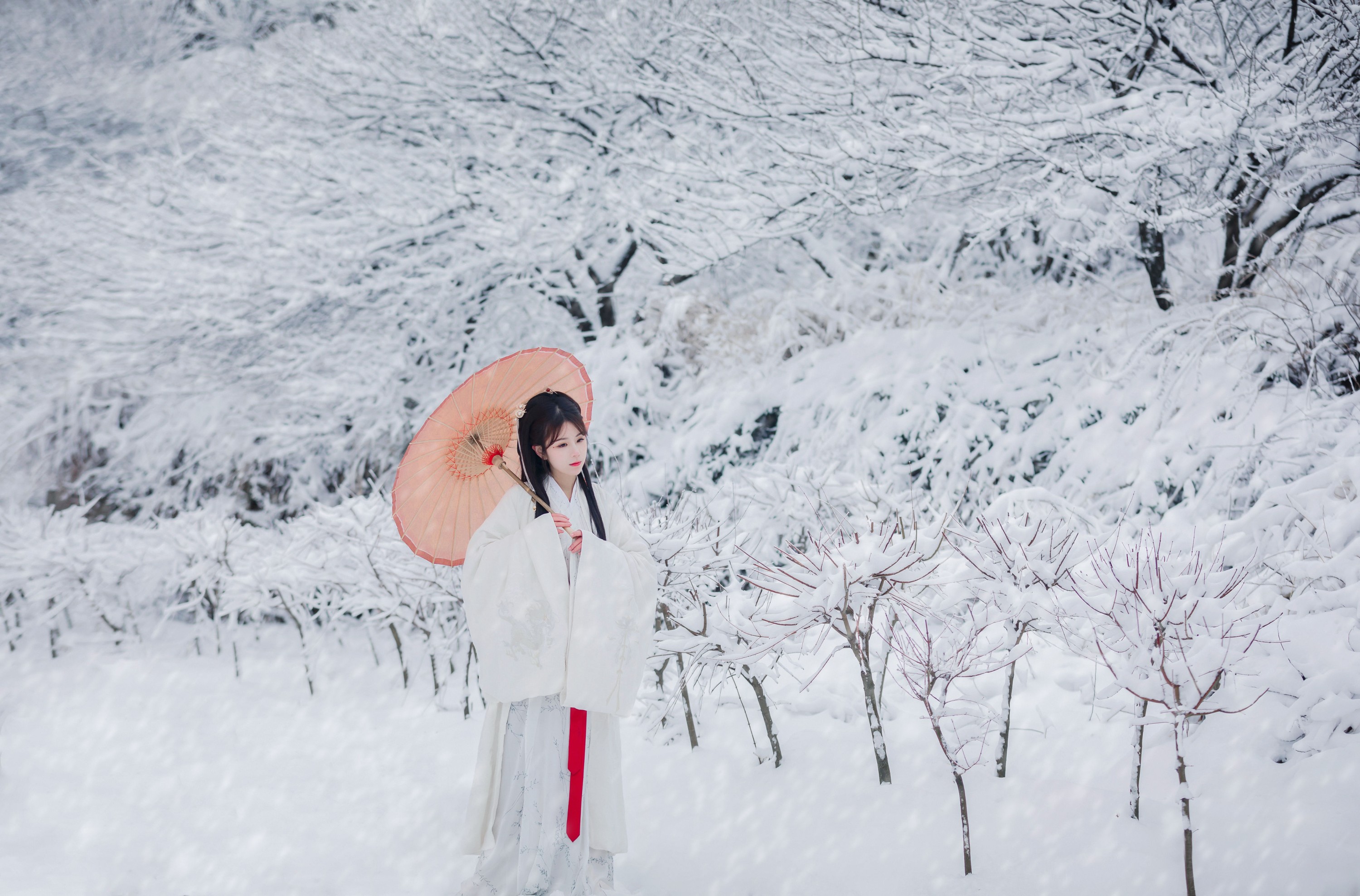 图片[8] - 公子不坏 - 《眉间雪》[20P] - 机器猫次元 - 机器猫次元