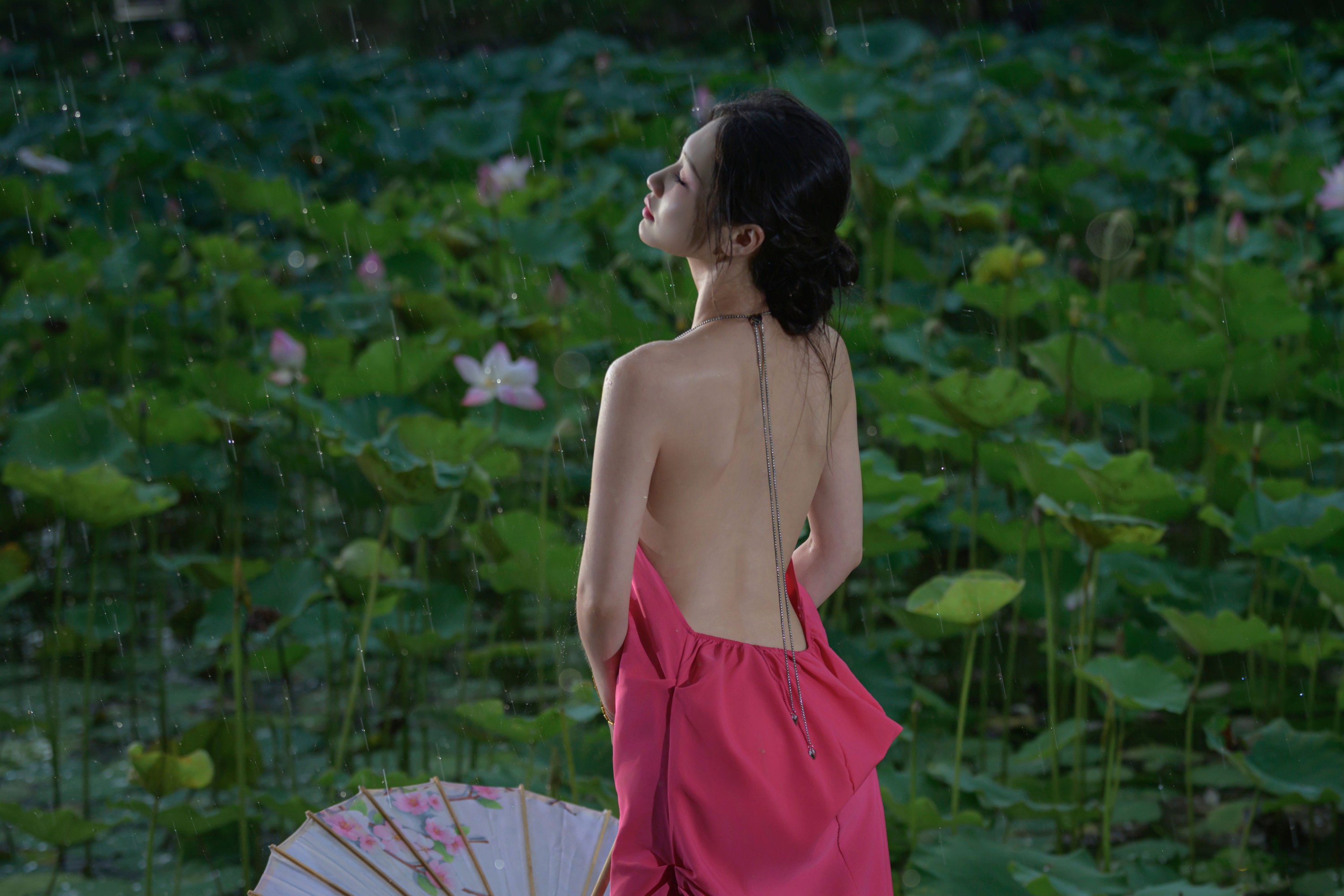图片[3] - 瑾瑾吖 - 《雨荷》[17P] - 机器猫次元 - 机器猫次元