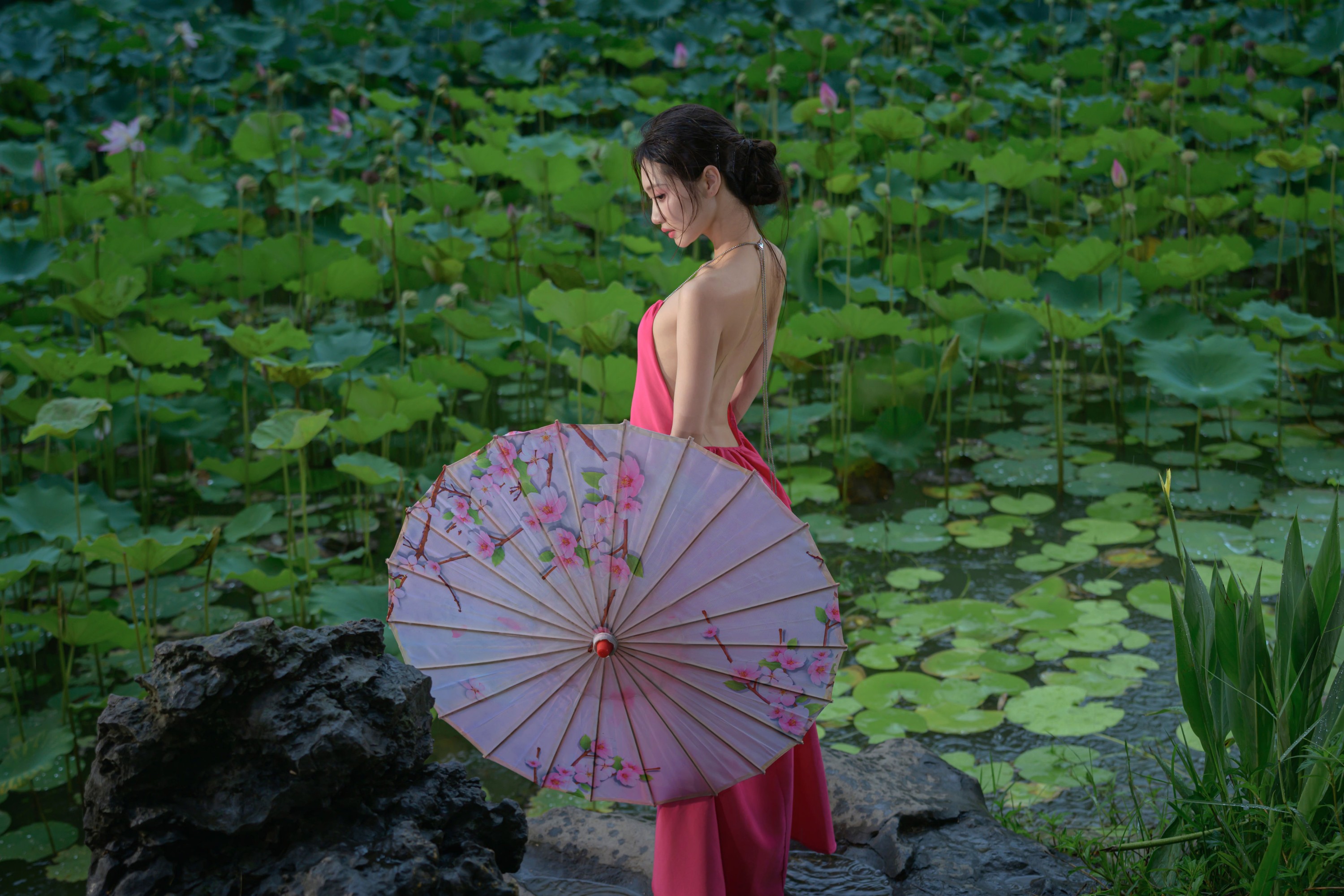 图片[1] - 瑾瑾吖 - 《雨荷》[17P] - 机器猫次元 - 机器猫次元