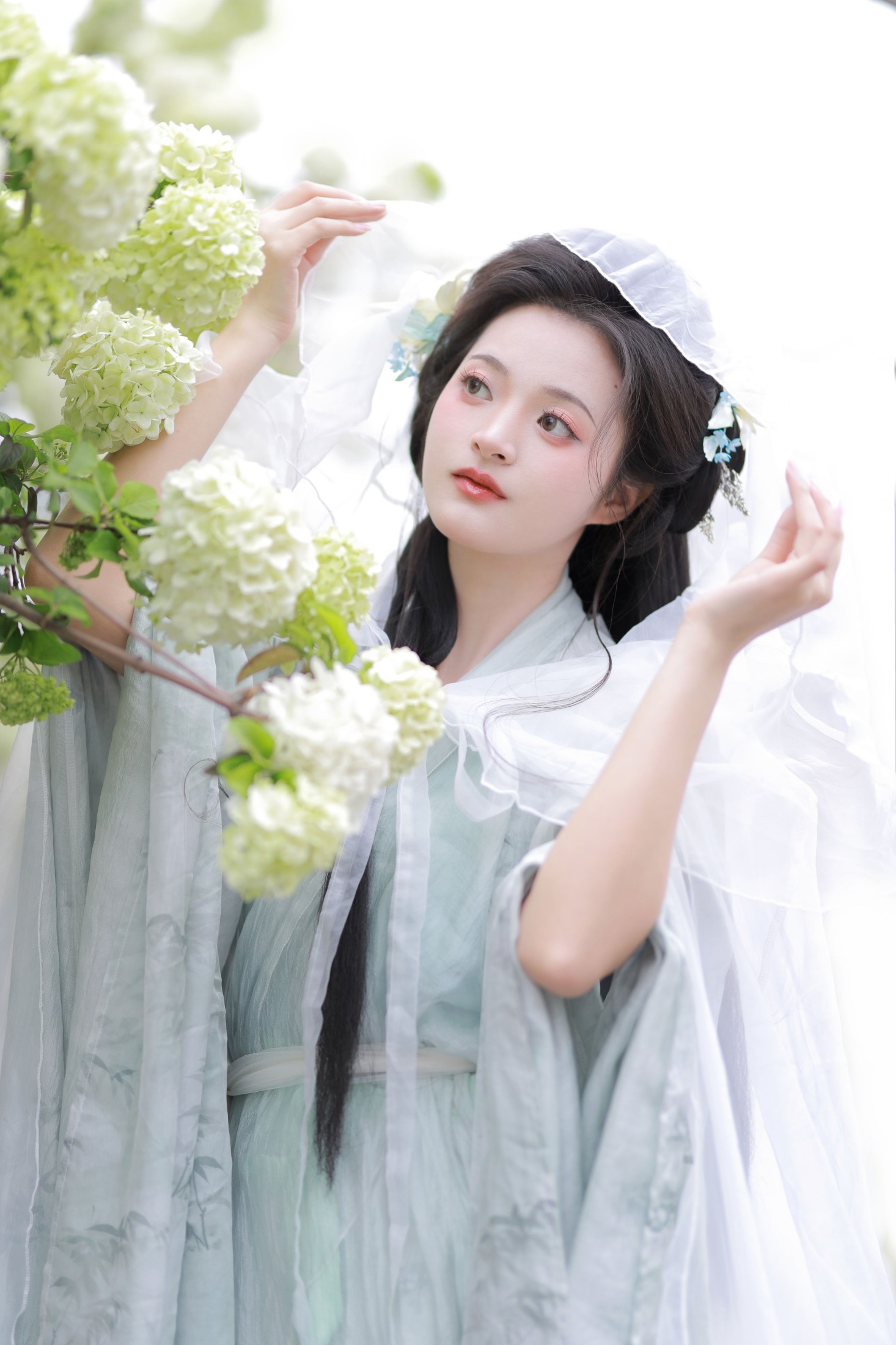 图片[6] - 端端 - 《中华木绣球》[13P] - 机器猫次元 - 机器猫次元
