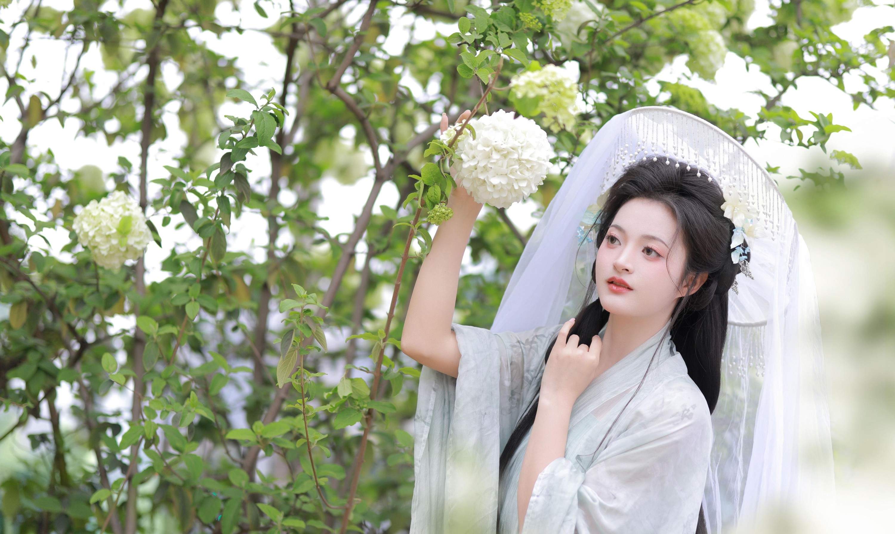 图片[2] - 端端 - 《中华木绣球》[13P] - 机器猫次元 - 机器猫次元