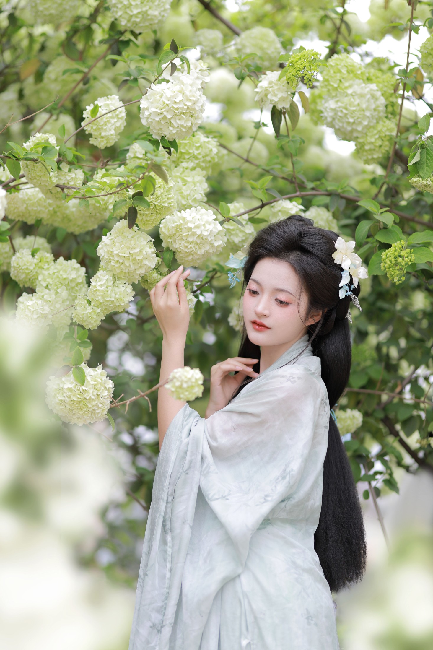 图片[3] - 端端 - 《中华木绣球》[13P] - 机器猫次元 - 机器猫次元
