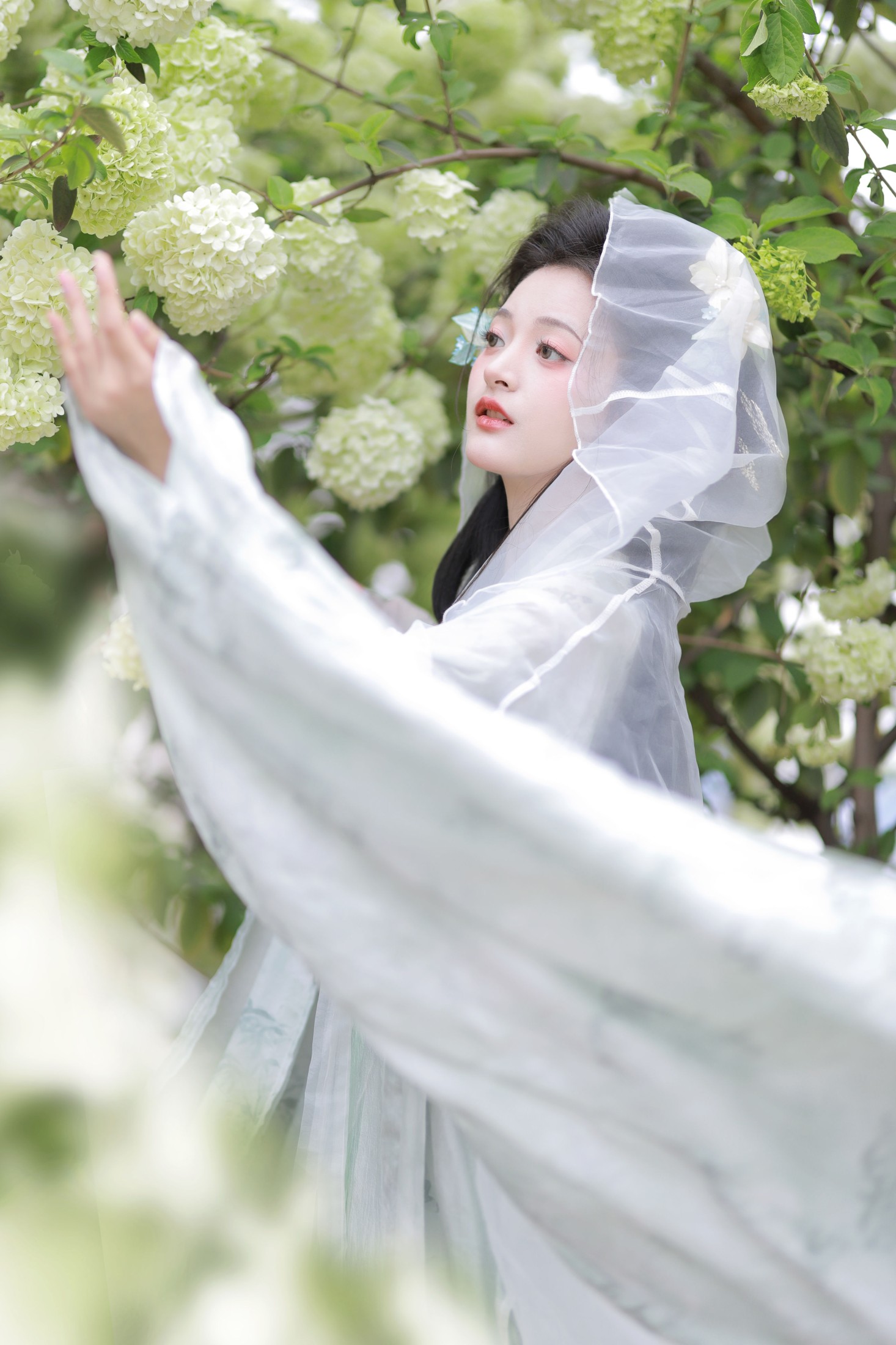 图片[5] - 端端 - 《中华木绣球》[13P] - 机器猫次元 - 机器猫次元