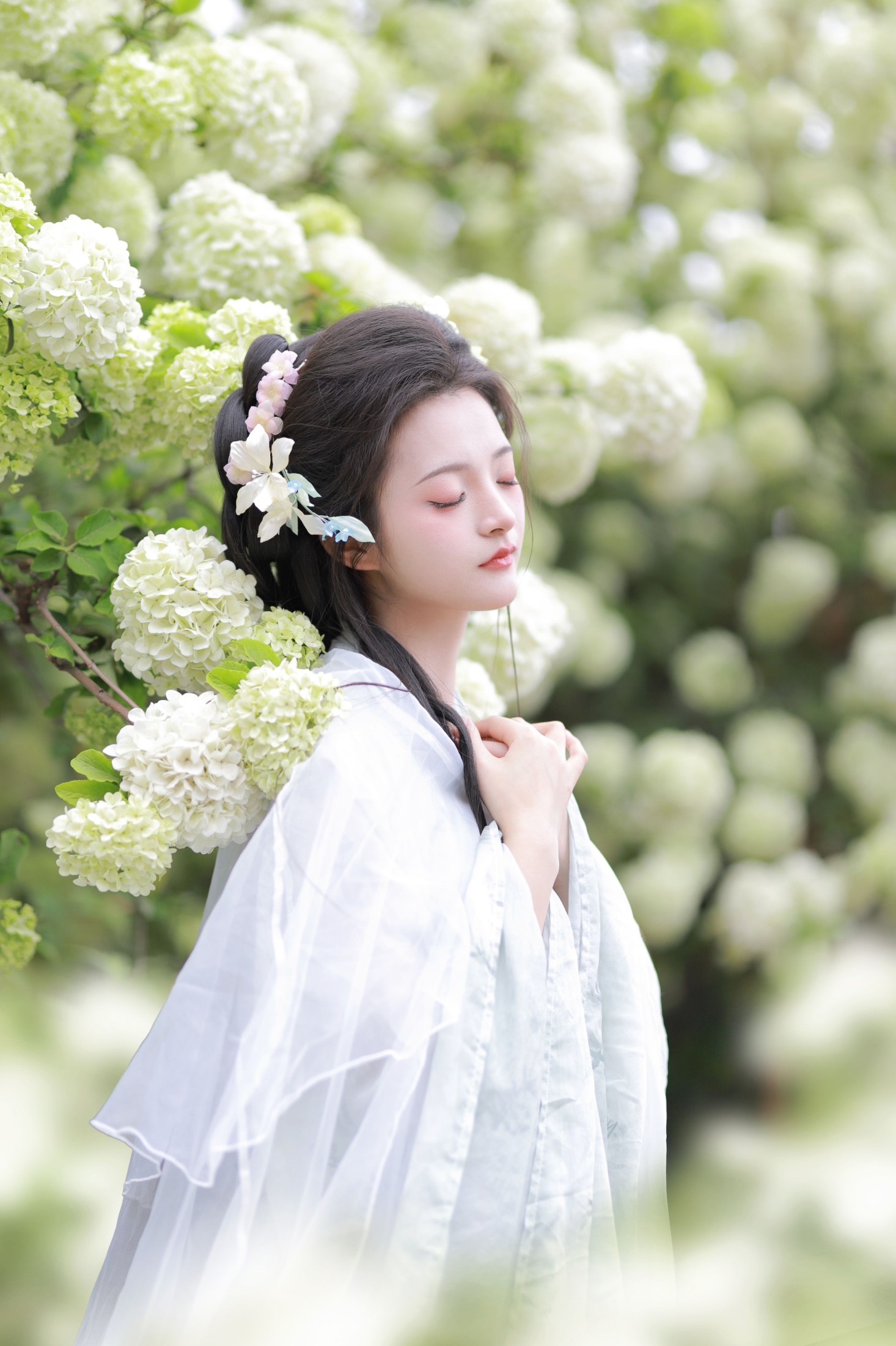 图片[7] - 端端 - 《中华木绣球》[13P] - 机器猫次元 - 机器猫次元