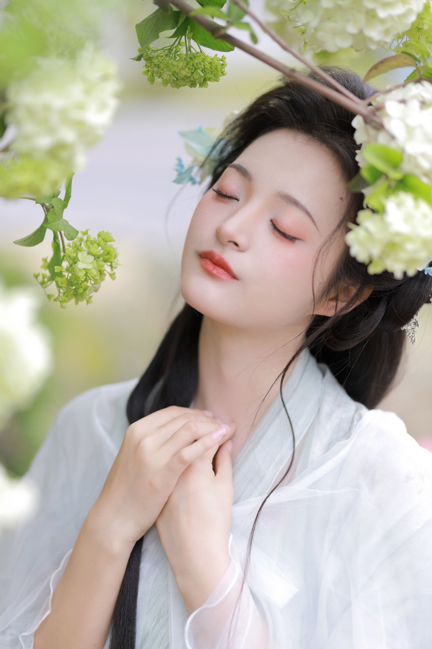 图片[8] - 端端 - 《中华木绣球》[13P] - 机器猫次元 - 机器猫次元