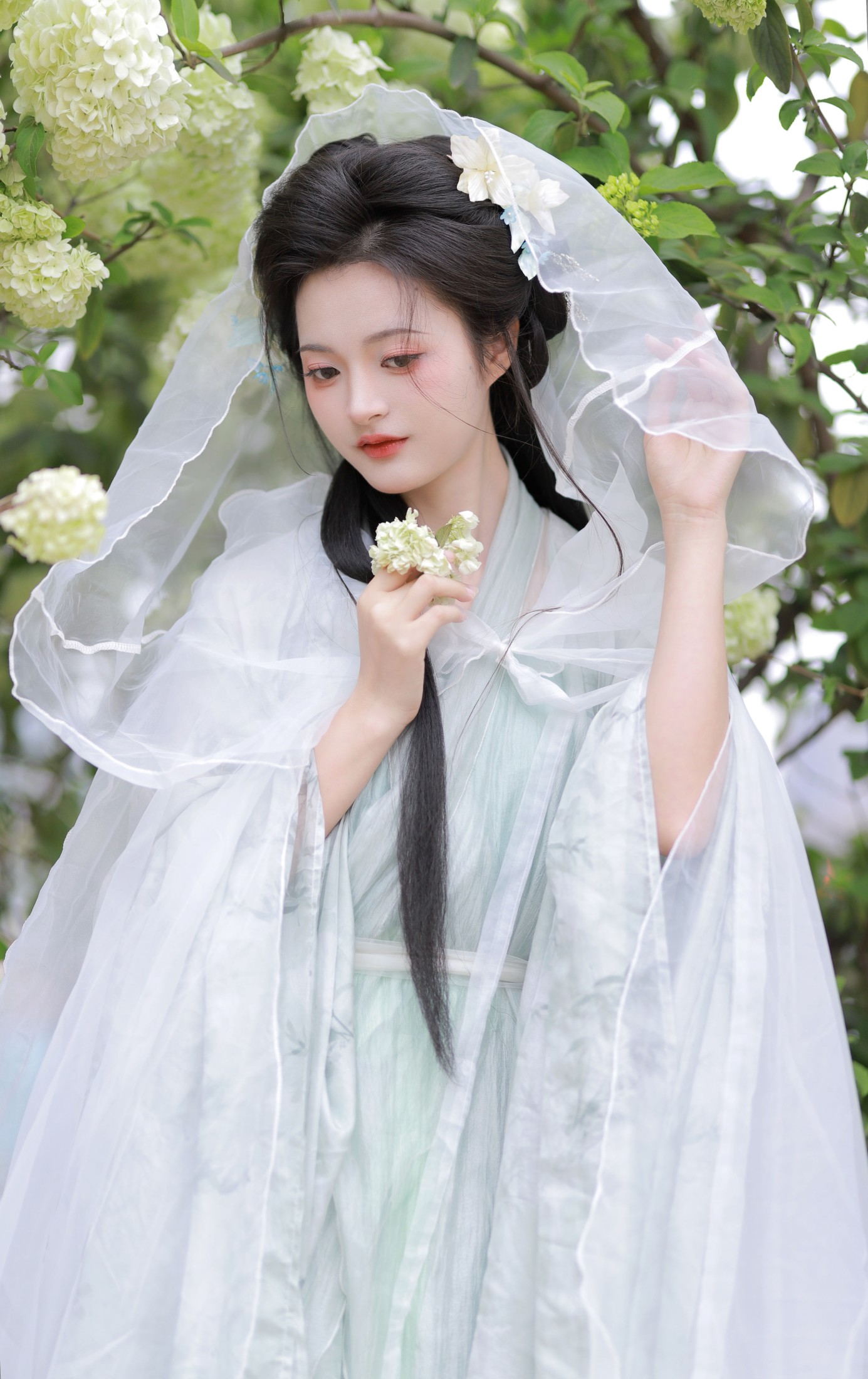 图片[4] - 端端 - 《中华木绣球》[13P] - 机器猫次元 - 机器猫次元