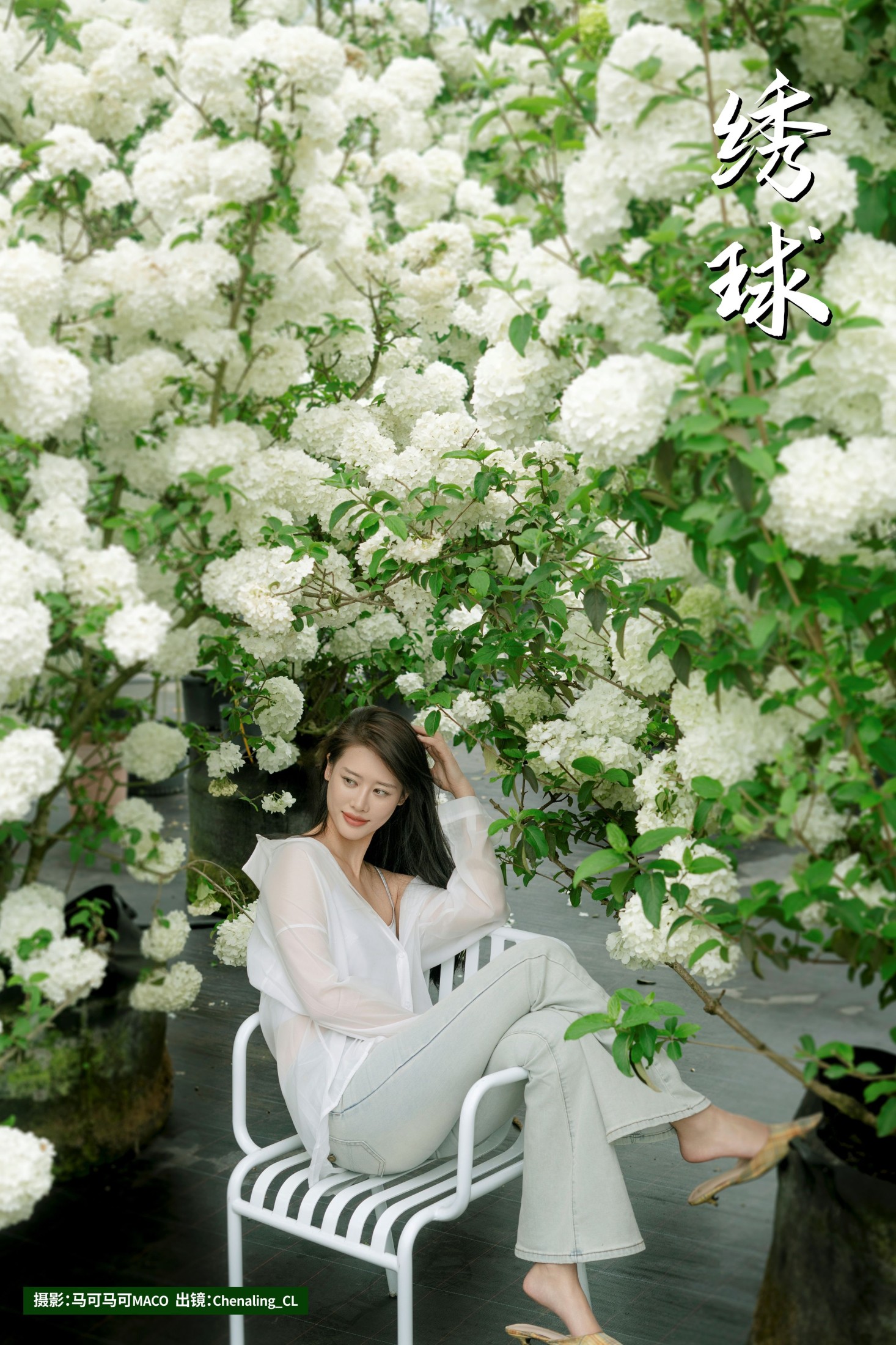 图片[1] - Chenaling_CL - 《绣球》[20P] - 机器猫次元 - 机器猫次元